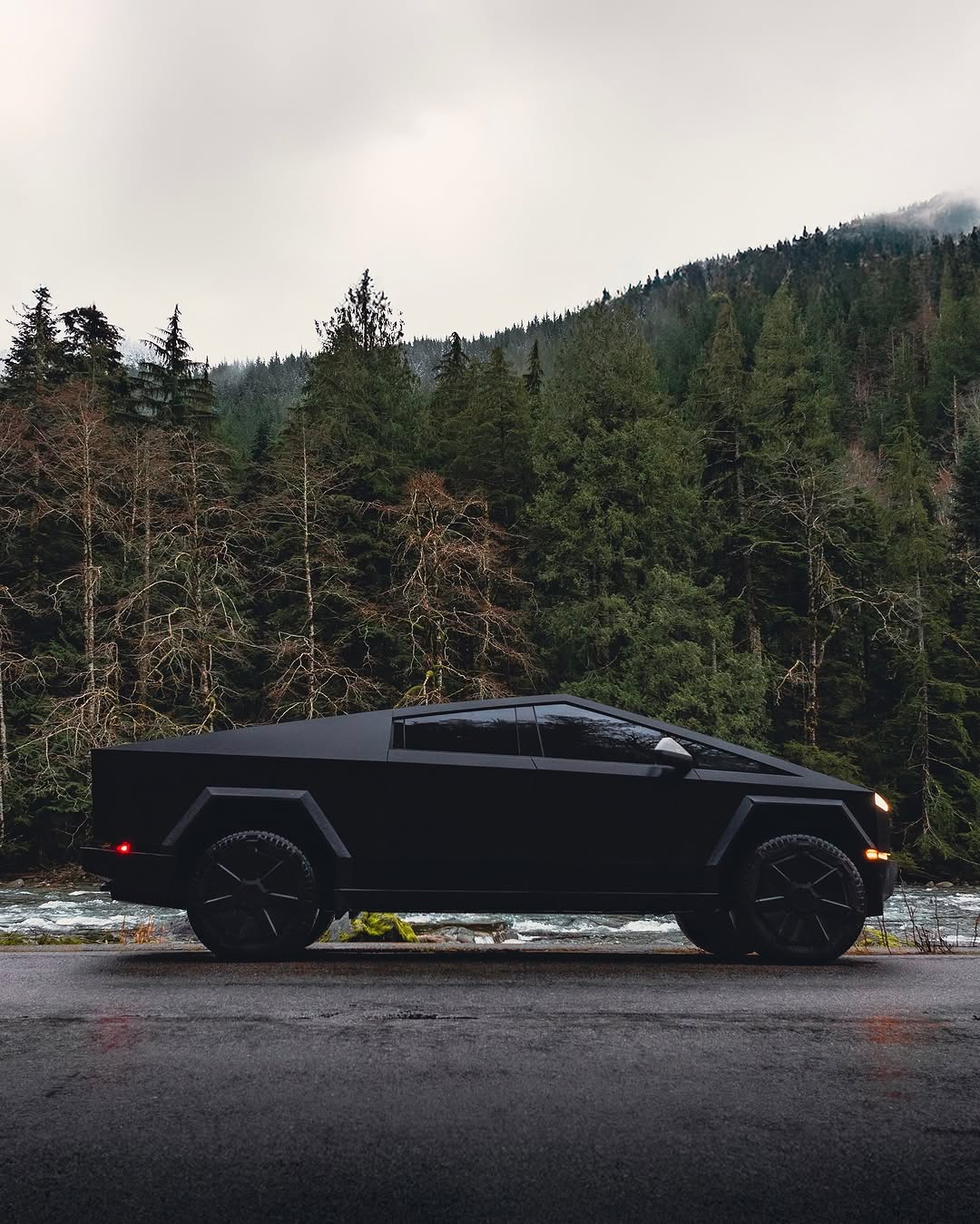 没有废气，没有噪音，只有森林

📸 @devon_loerop @teslamotors