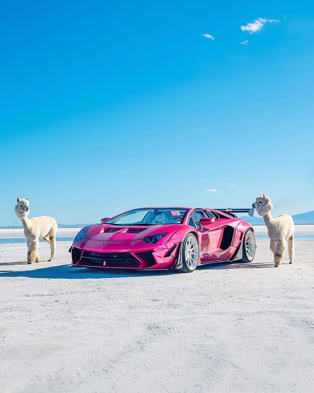 遇到MacAROni＆Cheese！🦙🦙

由 @thestrad@thestradman-Magazine提供的@alexpenfoldCARS，通过精美的⟦​​0⟧T版画，深入的ARTilect和独家访谈为生活带来了汽车的热情。在bonnetmagazine.com上进行更多探索。 #bonnetmagazine

@peppergrassranch @peppergrassranchTography＃supercARs#countach #murcielago #aventador #alpaca #animals @bonnetmagazine