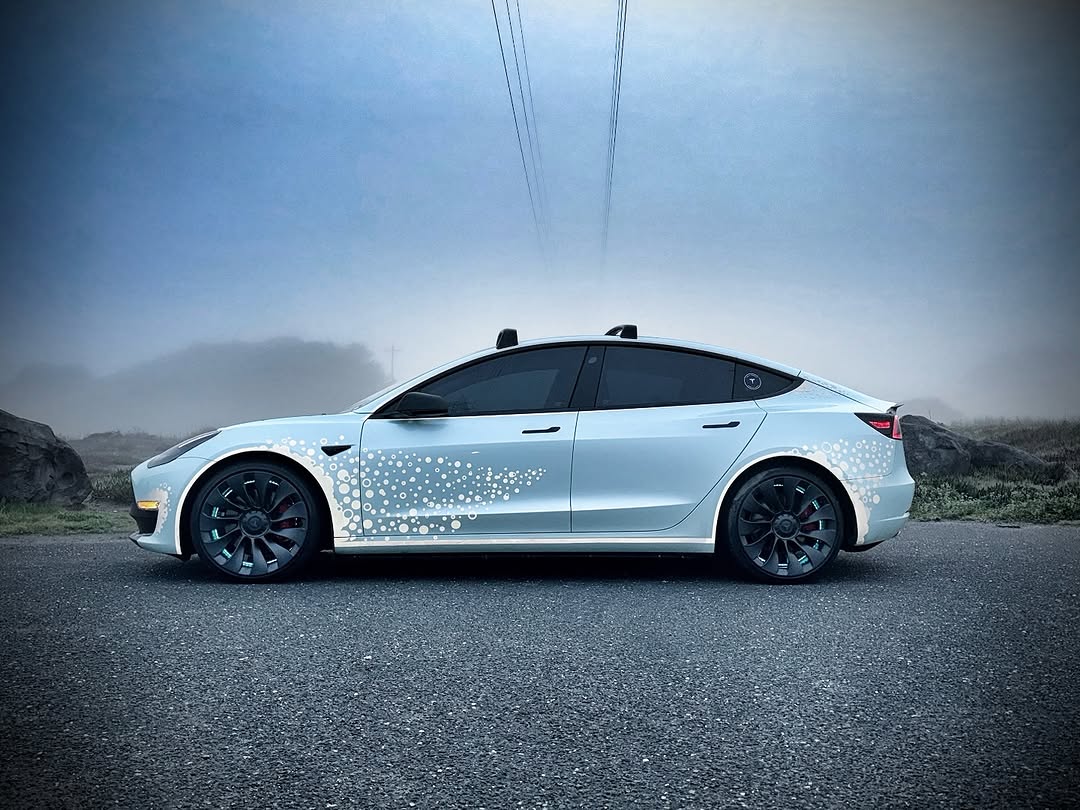 雾groggy星期一🌫️🩵🦈🫧

爱这首歌@drugstoreromeosband
#teslamodel3performance #mondays #norcal #finbannow @spark.bait