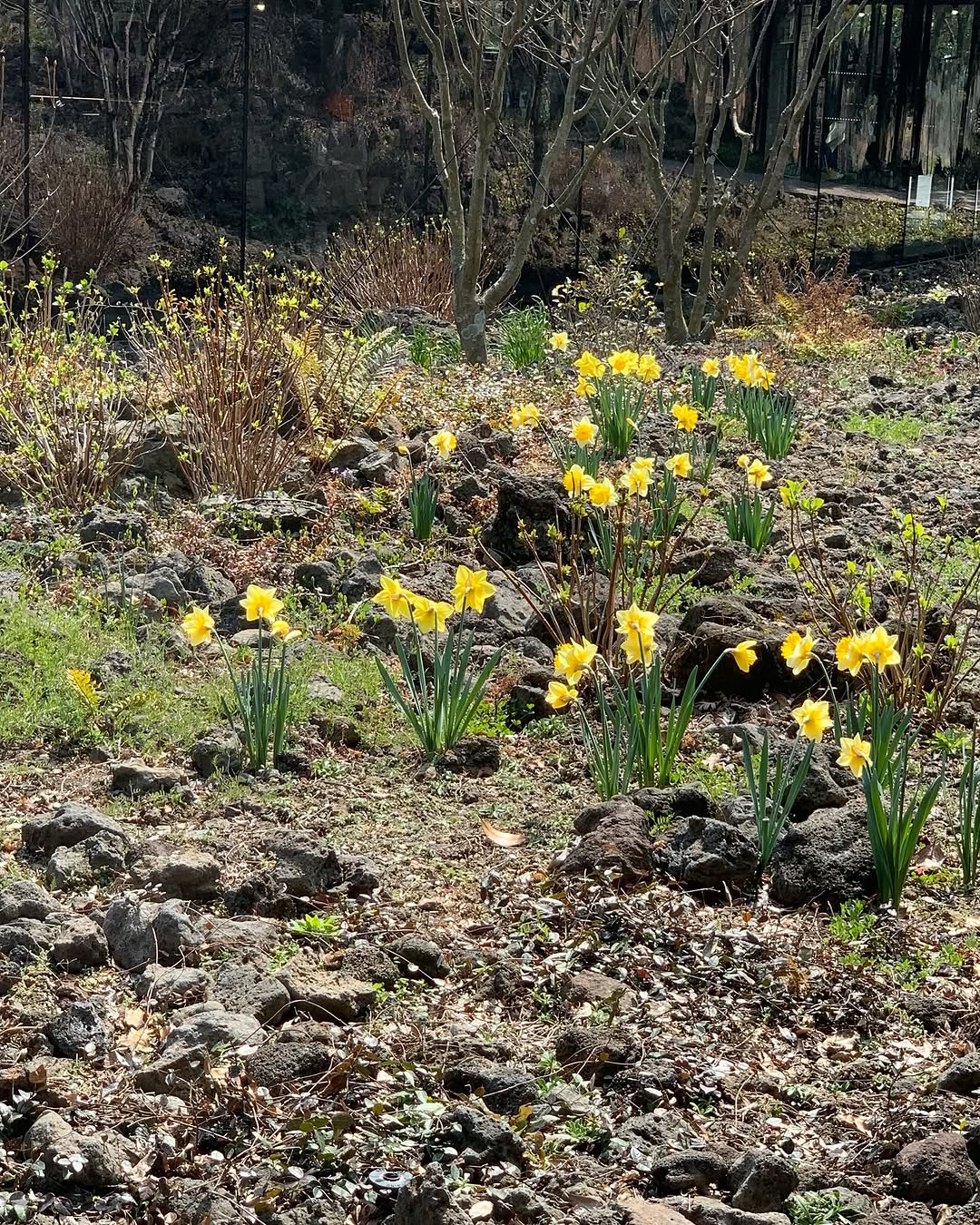 最好的瘀伤 @_loveunc