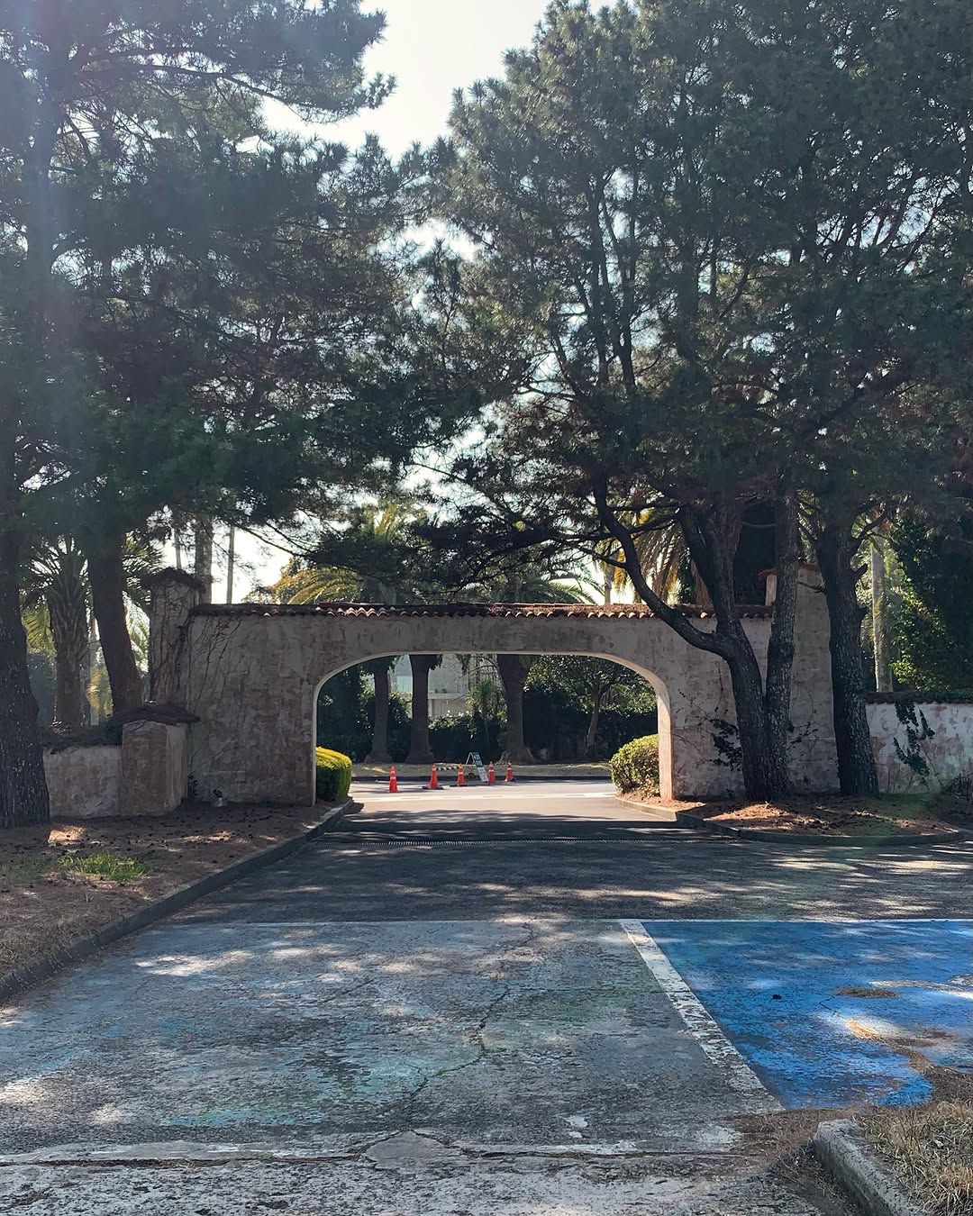 最好的瘀伤 @_loveunc