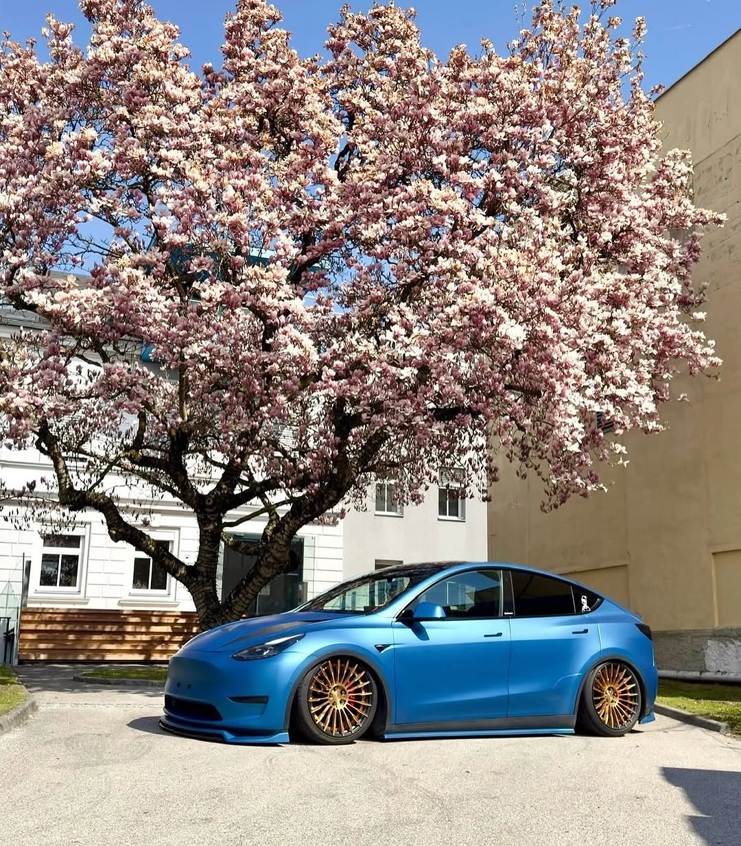 设置为墙纸

🚗🚗0⟫ 
🏡at @teslaclubofamerica