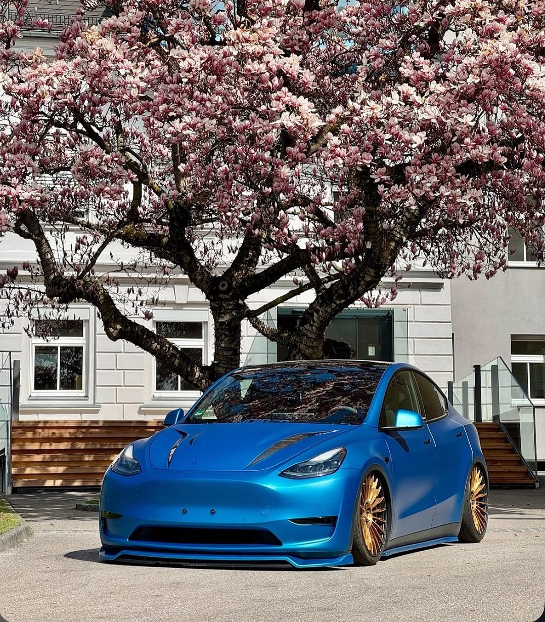设置为墙纸

🚗🚗0⟫ 
🏡at @teslaclubofamerica