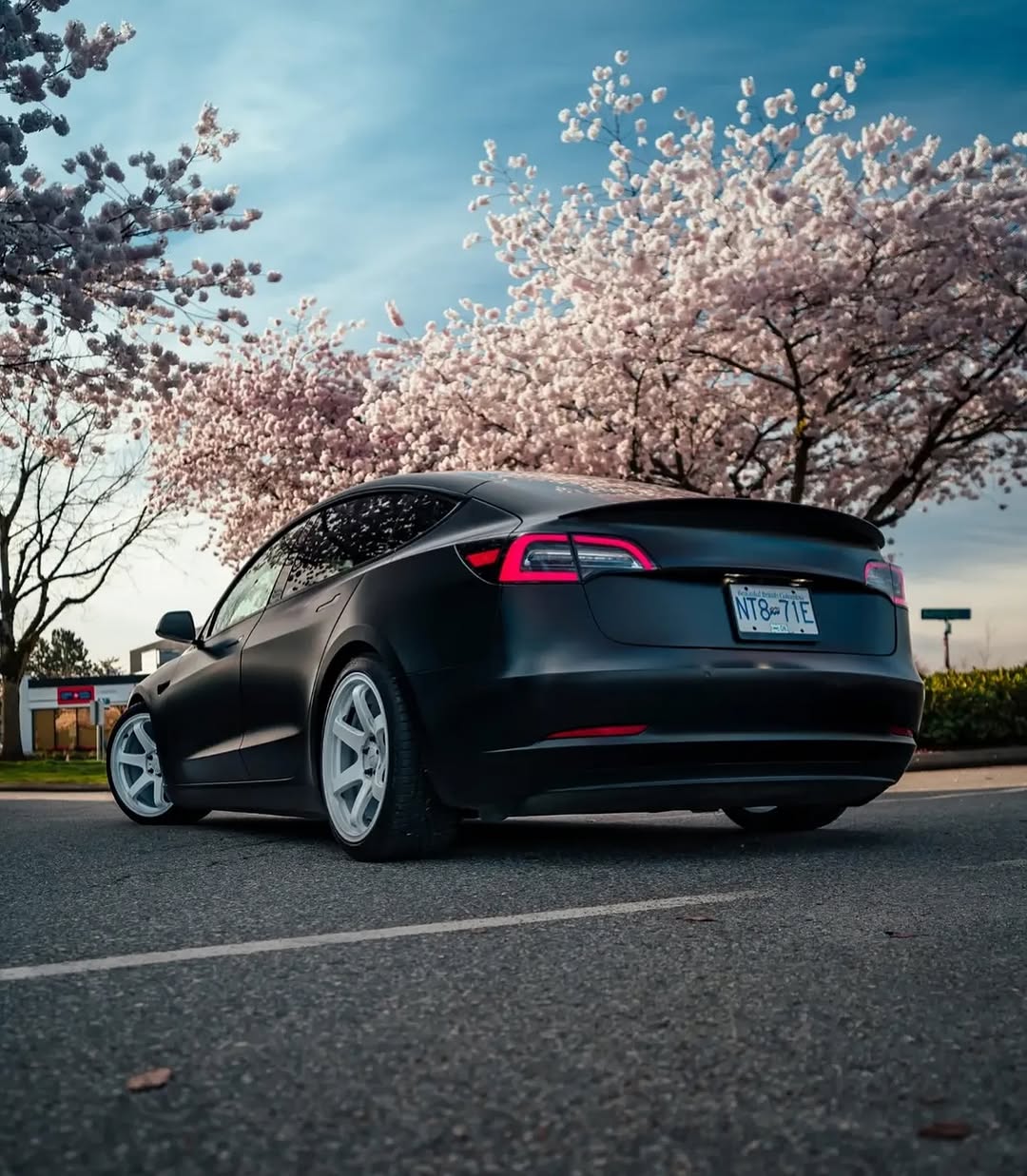 樱花季节

🚗🚗0⟫ 
BC @teslaclubofamerica