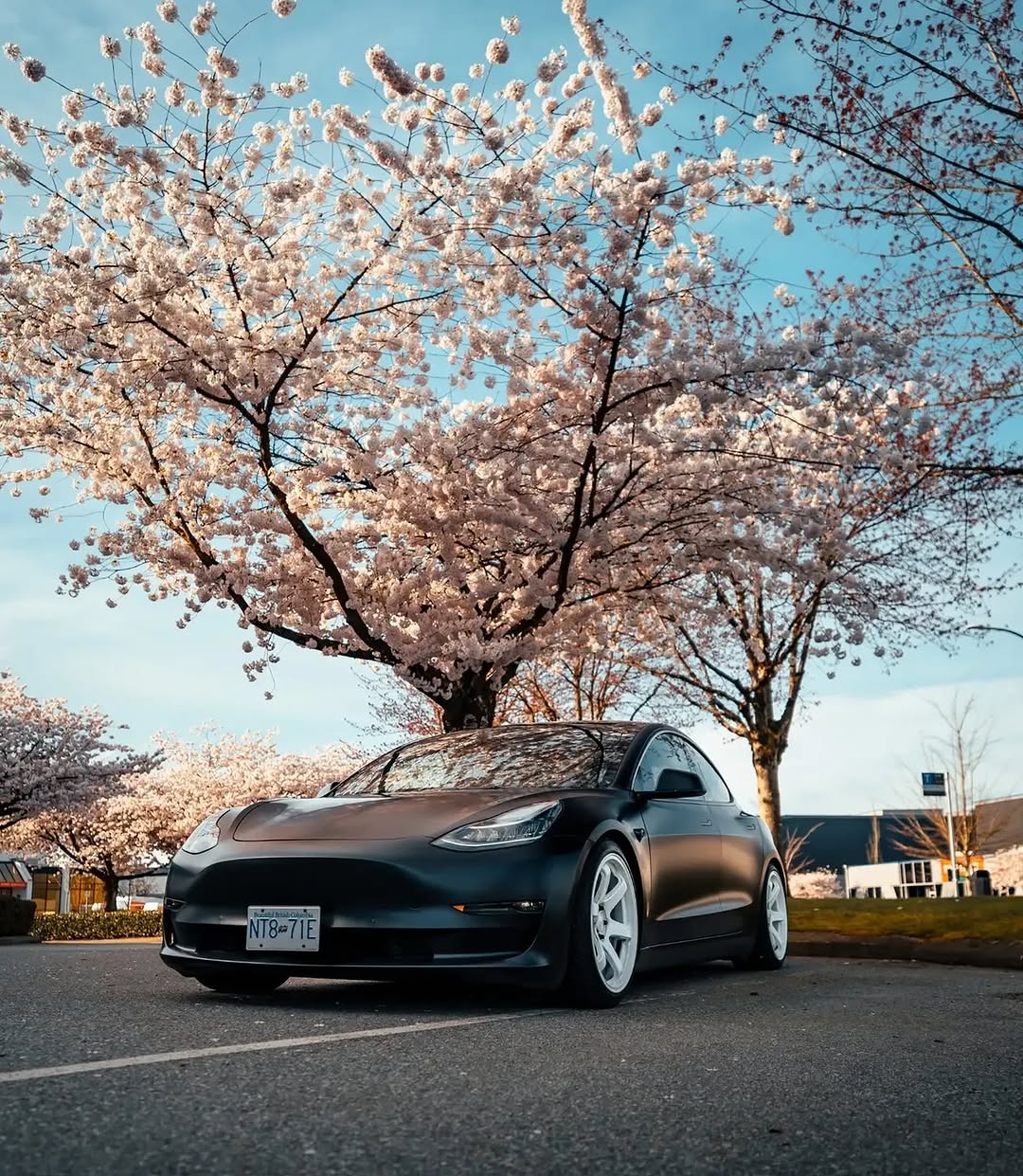 樱花季节

🚗🚗0⟫ 
BC @teslaclubofamerica