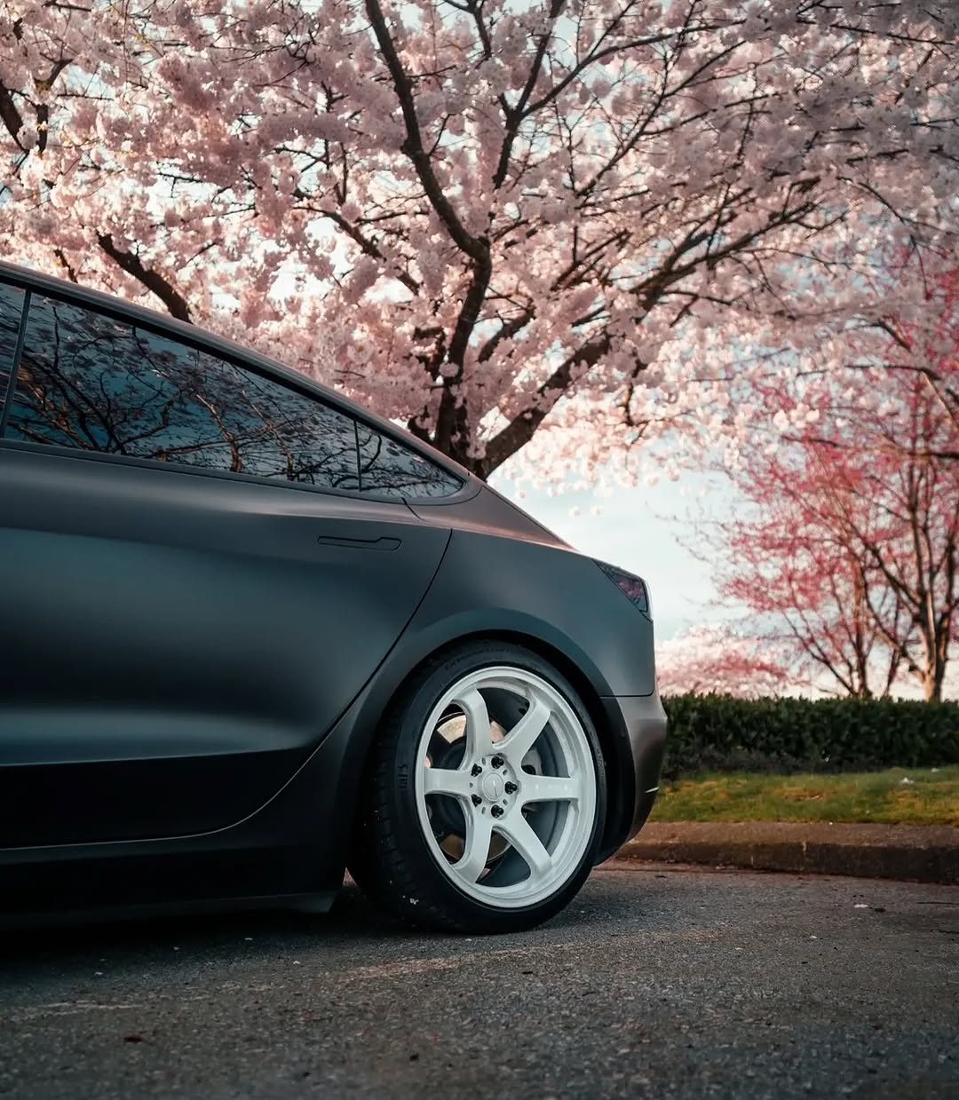 樱花季节

🚗🚗0⟫ 
BC @teslaclubofamerica