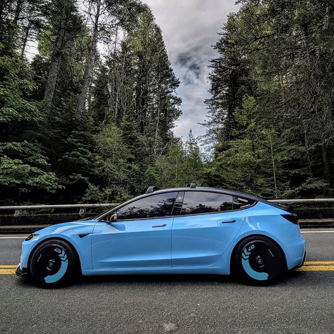 我们只有一个eAR，让我们尝试保留它的美丽，爱心并拿走它的cARe。

🚗🚗0⟫ 
🏡ca @teslaclubofamerica