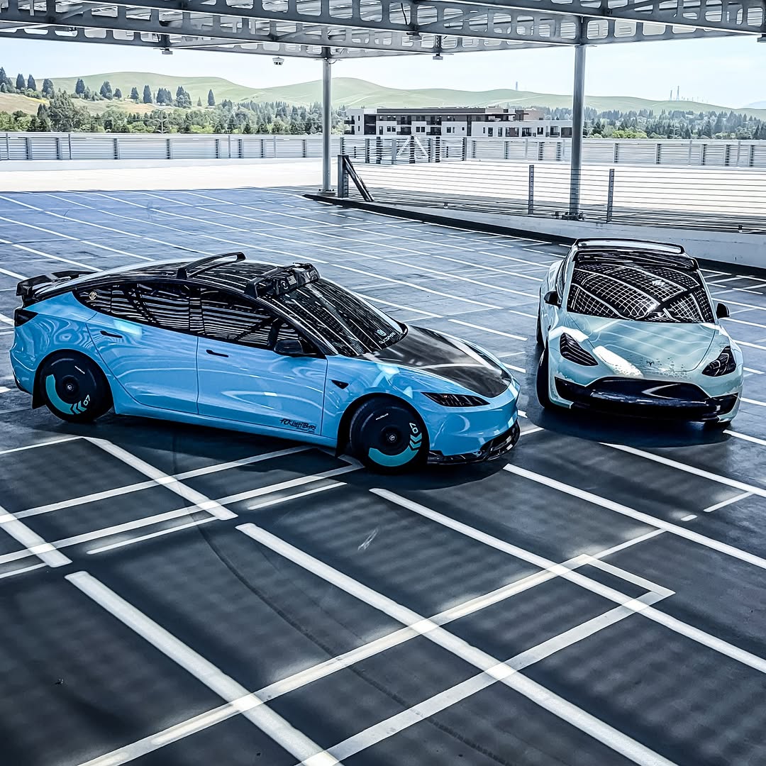 敏锐与鲨鱼.... @tesla.mann_