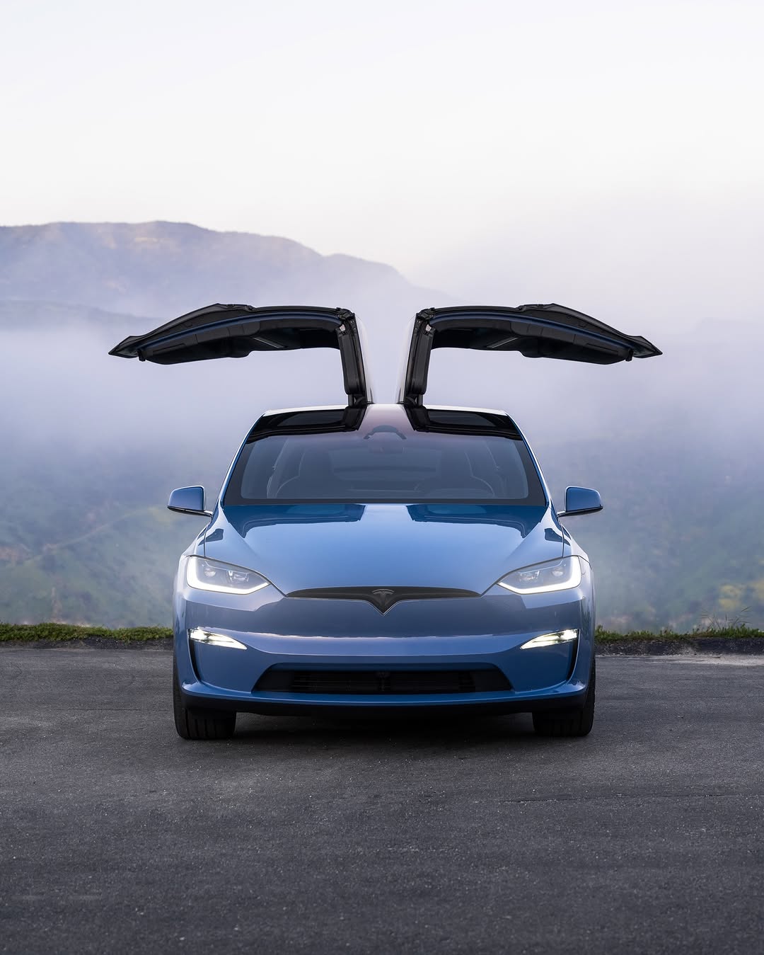 霜蓝猎鹰之翼 🪽 @teslamotors