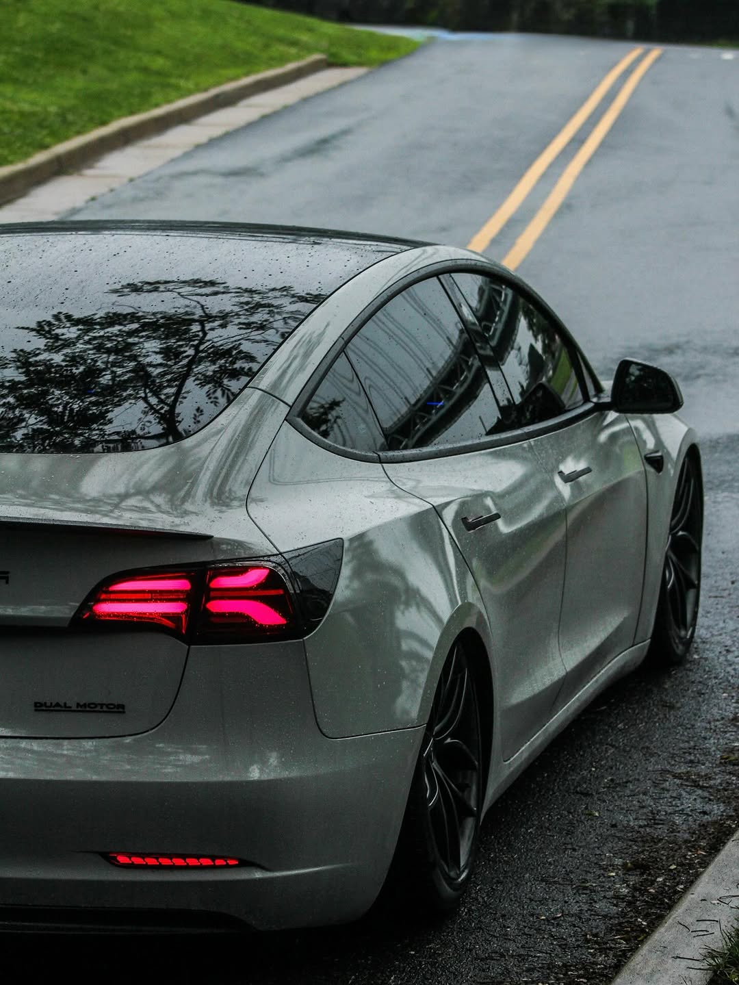 ☔️🌲 ‎ #tesla #teslamodel3 #model3performance #teslamods #modifiedtesla #teslalife #evcommunity #dri