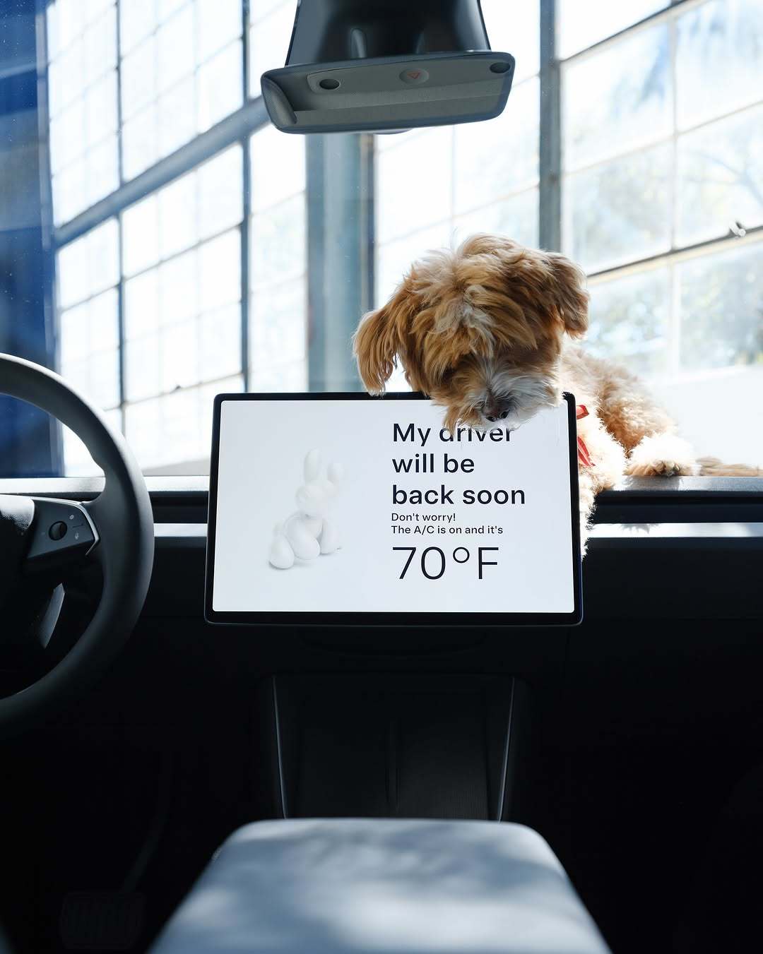 Model Y标准版和Model 3标准版——我们最实惠的车型 超低拥有成本,专为安全设计,并配备您喜爱的所有特斯拉功能 – 续航里程达321英里 – 极高的效率,带您去更远的地方并为您节省费用 – 维护需求极少 – 在您的主动监督下可实现自动驾驶 包含以下内容: – 15.4英寸中央触摸屏上的娱乐功能(Tesla Theater支持流媒体平台,Tesla Arcade支持视频游戏) – 集成@Grok人工智能 – 方便与安全功能(哨兵模式/狗模式/露营模式,行程规划器,座舱过热保护) – Tesla应用(手机钥匙,预调节,哨兵实时摄像头视图等) – 加热前排座椅——双色调,配有织物和植物皮革材质 + 加热方向盘 – 全球70,000多个超级充电站的访问权限 ……还有更多。在Tesla.com上查看全部内容 @teslamotors