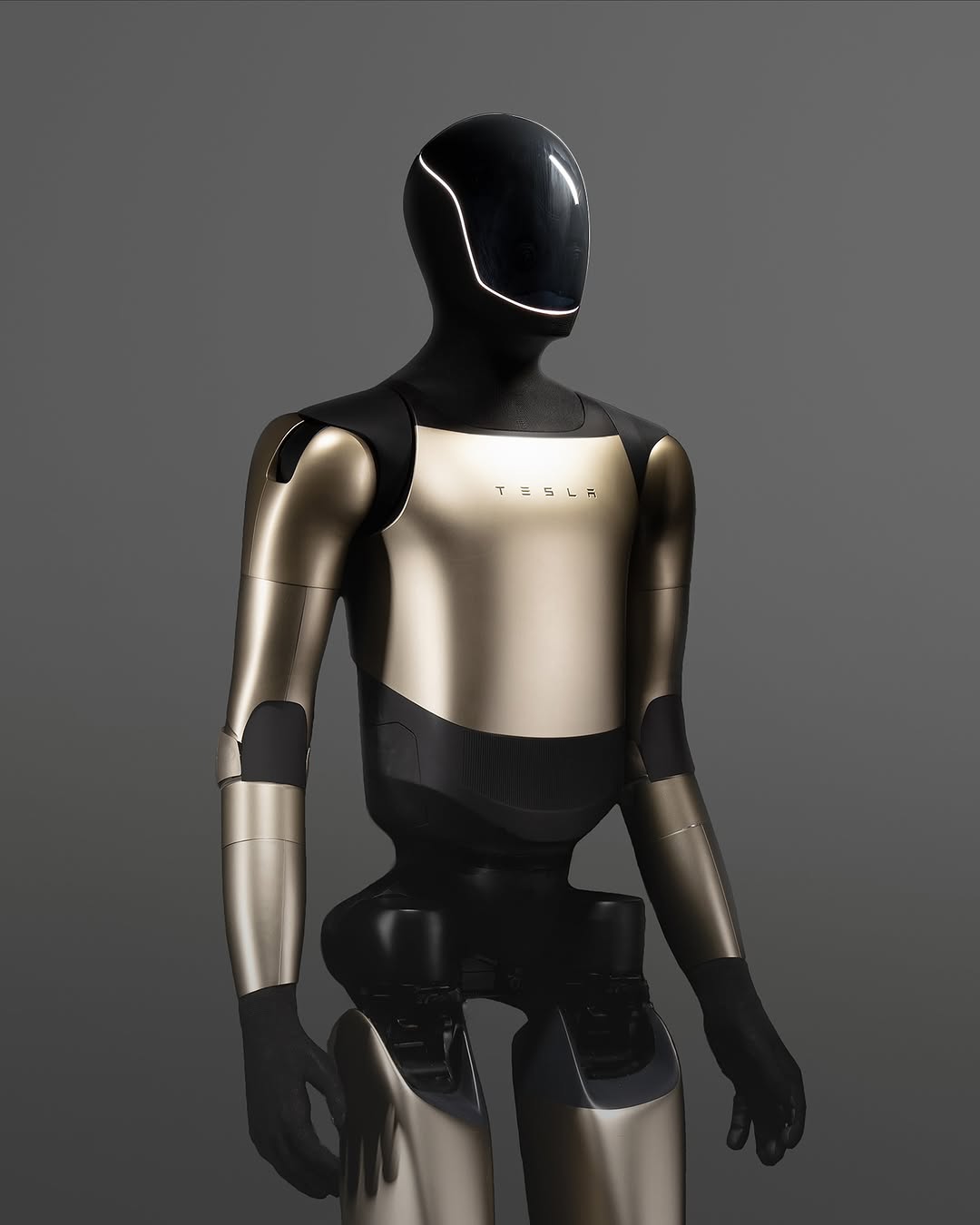 未来是金色的 ✨ @teslamotors