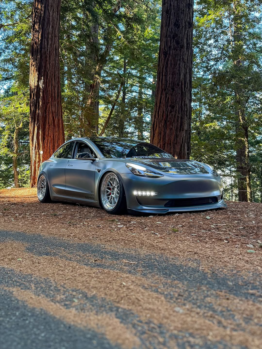 像这个季节的落叶一样被装袋了 🍂 #tesla #airsuspension #cars #november @m3p_gio