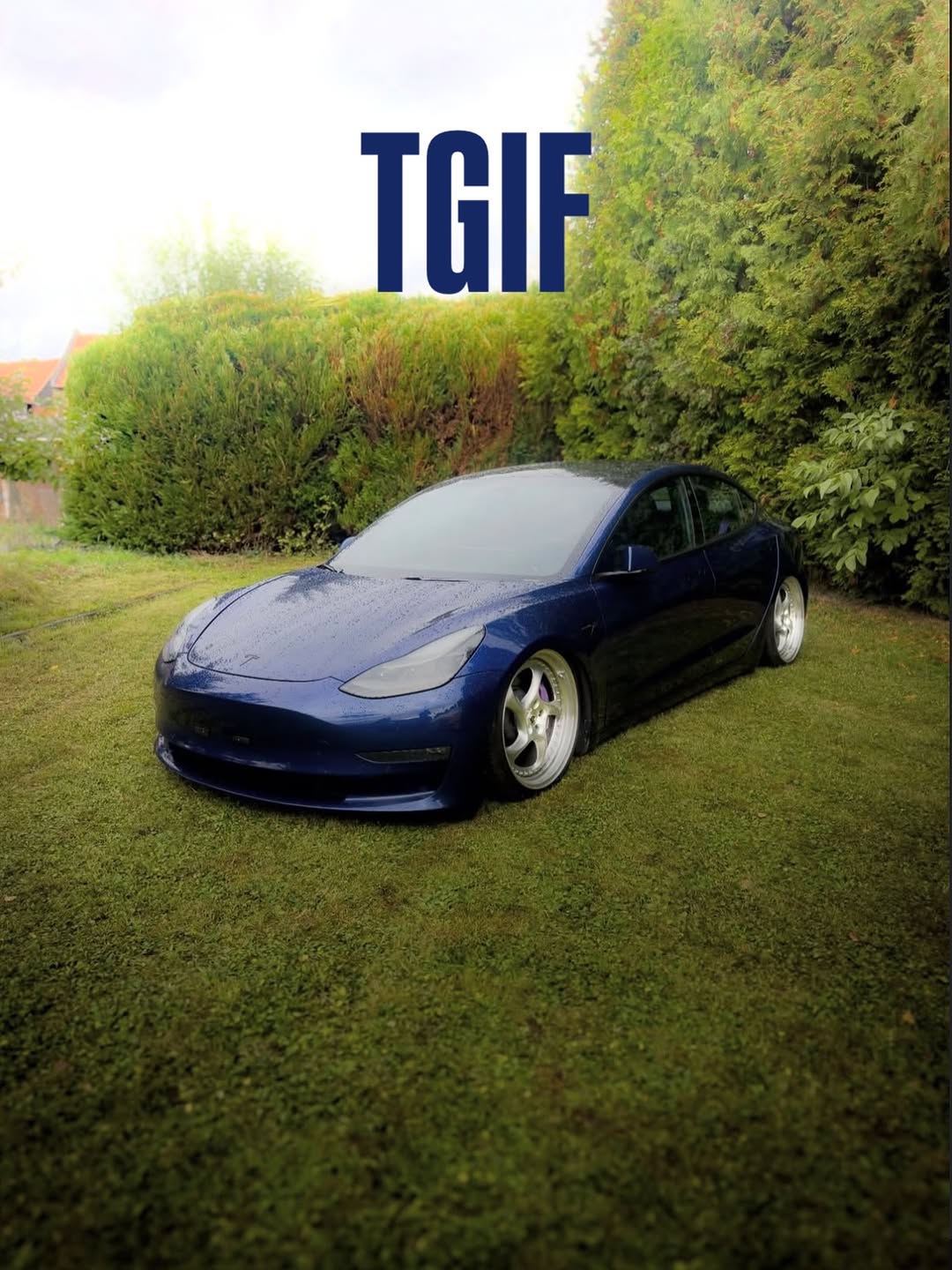 今天星期几？ 🚗 @mk1_erdbeerkoerbchen 🏡 DE 📸 @dima_m.84 @teslaclubofamerica