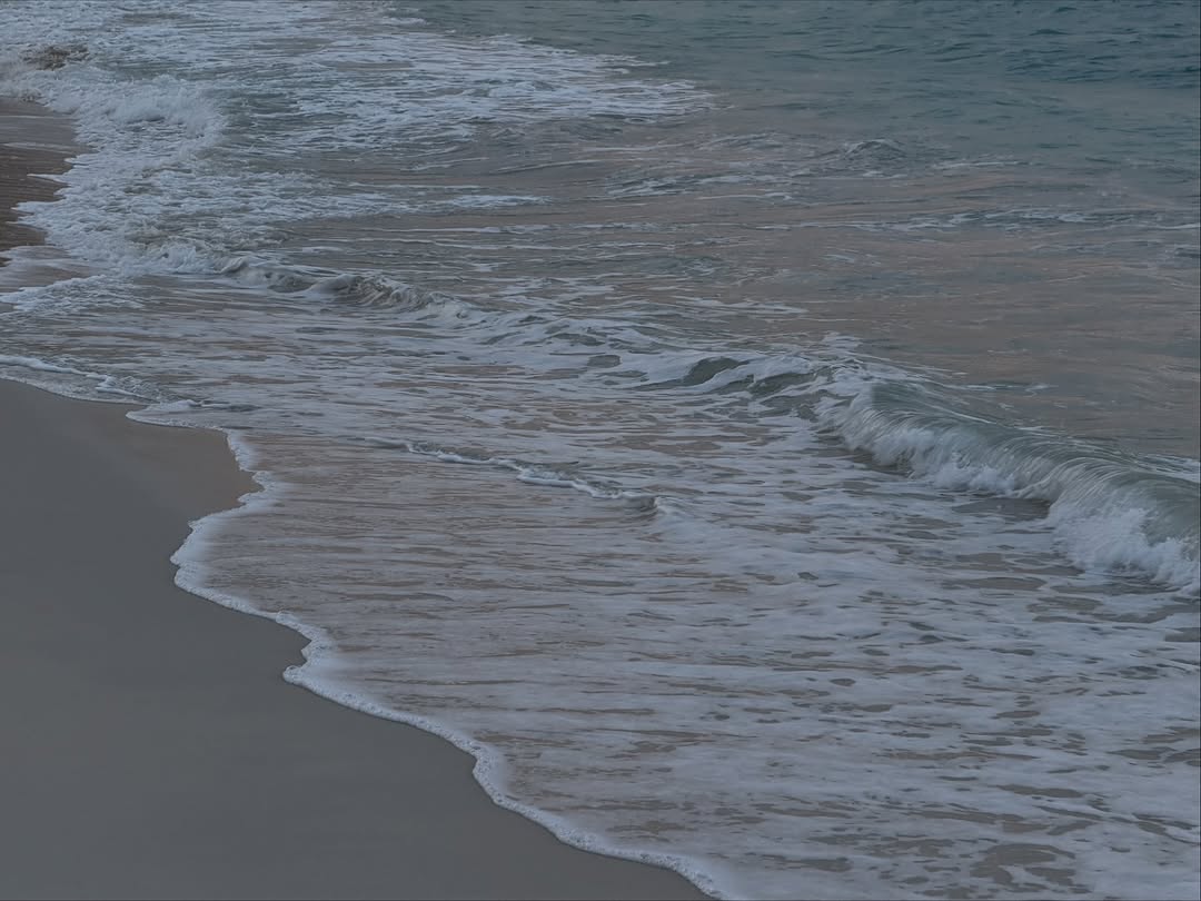 椰子 @kendalljenner