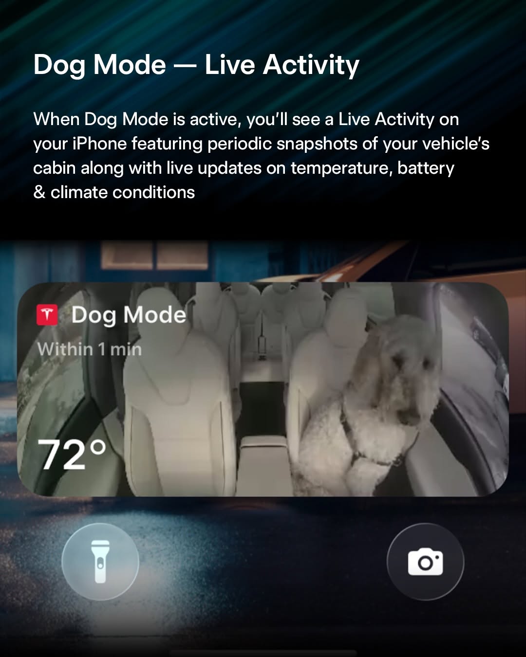 特斯拉假日更新现已推出 - 包含众多新功能和惊喜礼物 🎁 @teslamotors