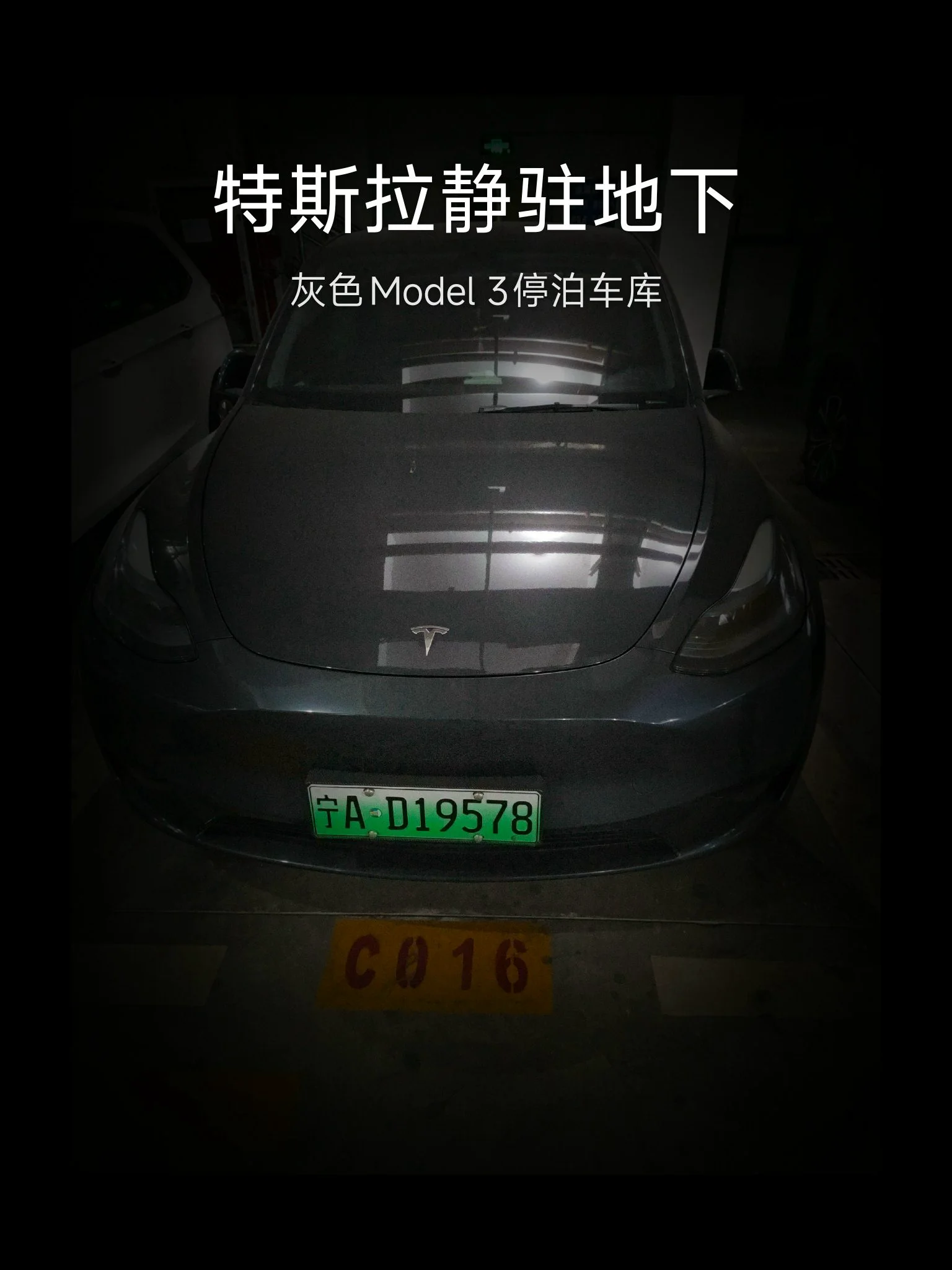 特友帖子图片