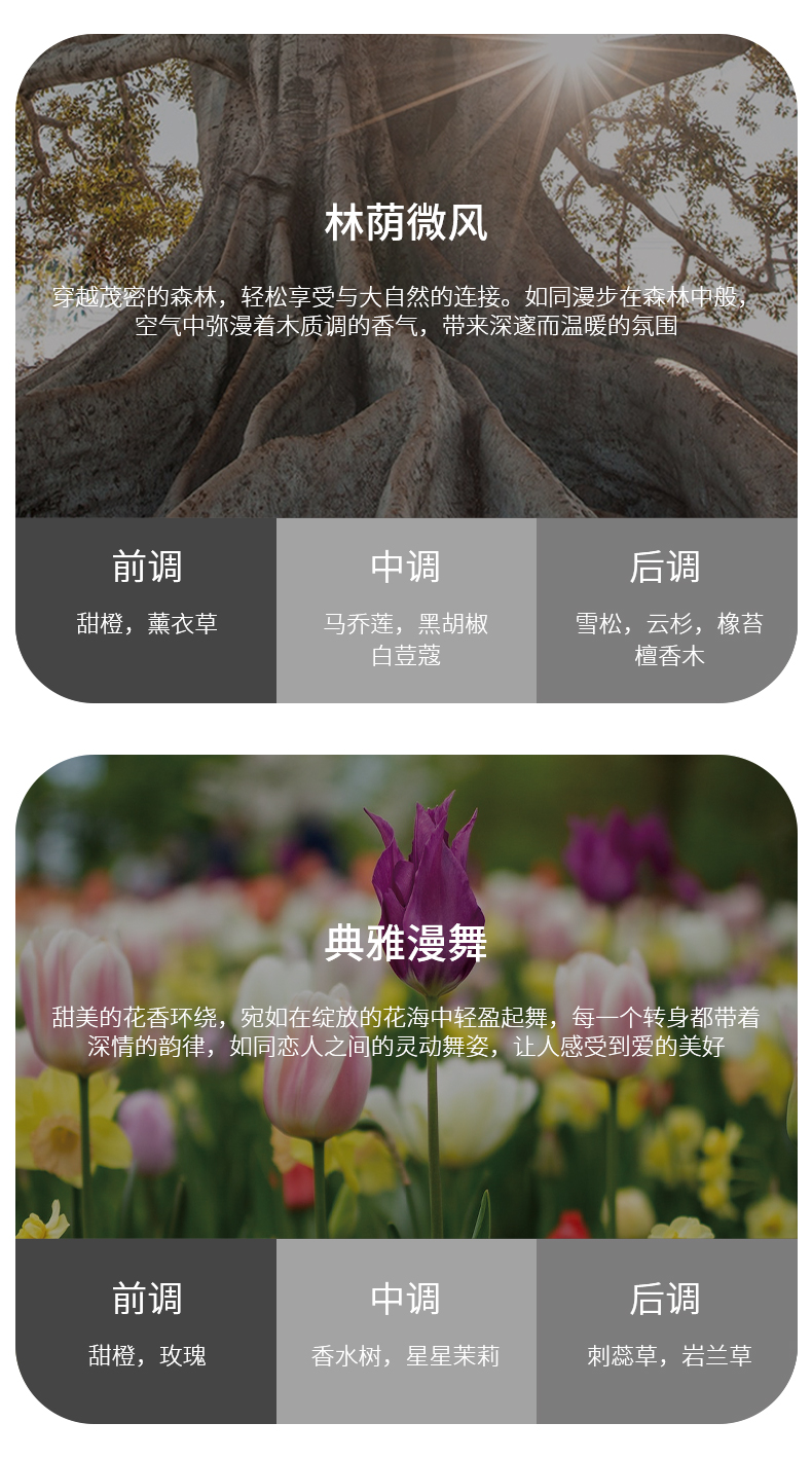 车载香薰 详情图13