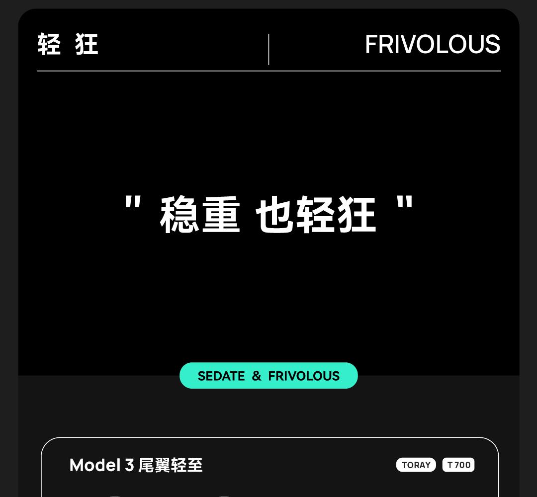 Model 3/Y碳纤维尾翼 详情图9