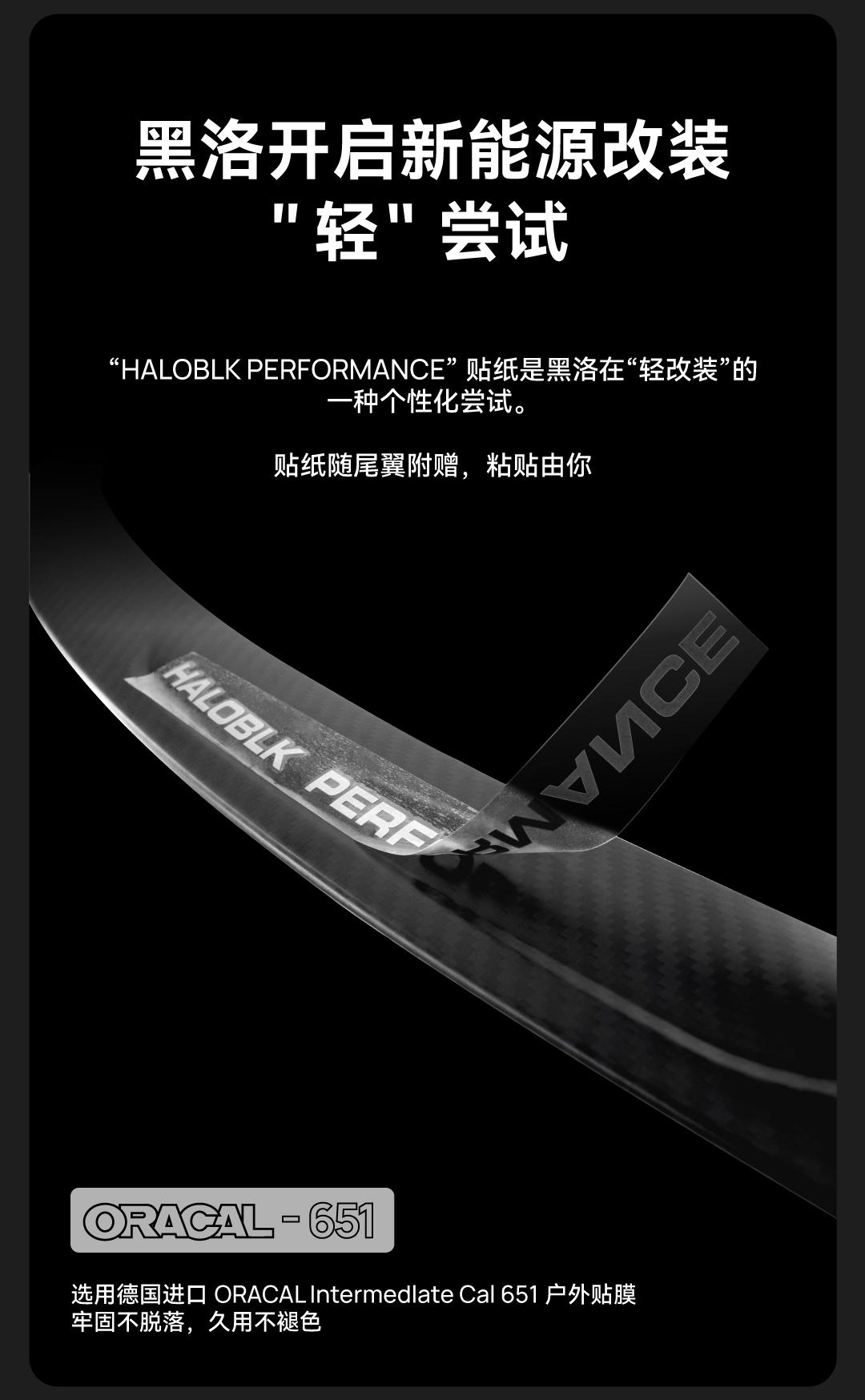 Model 3/Y碳纤维尾翼 详情图15