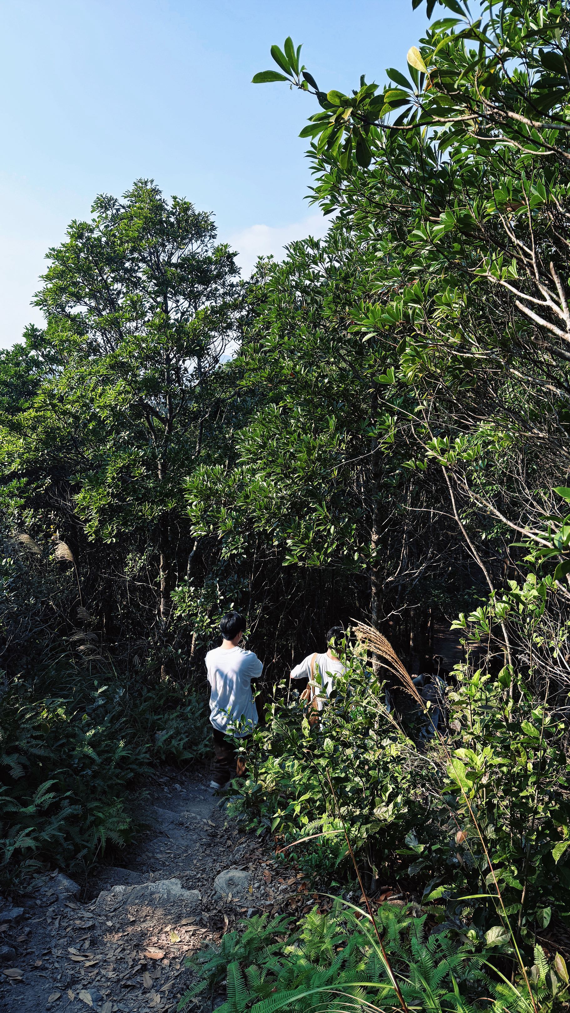 2025年的最後一座山 #戶外

#model3
