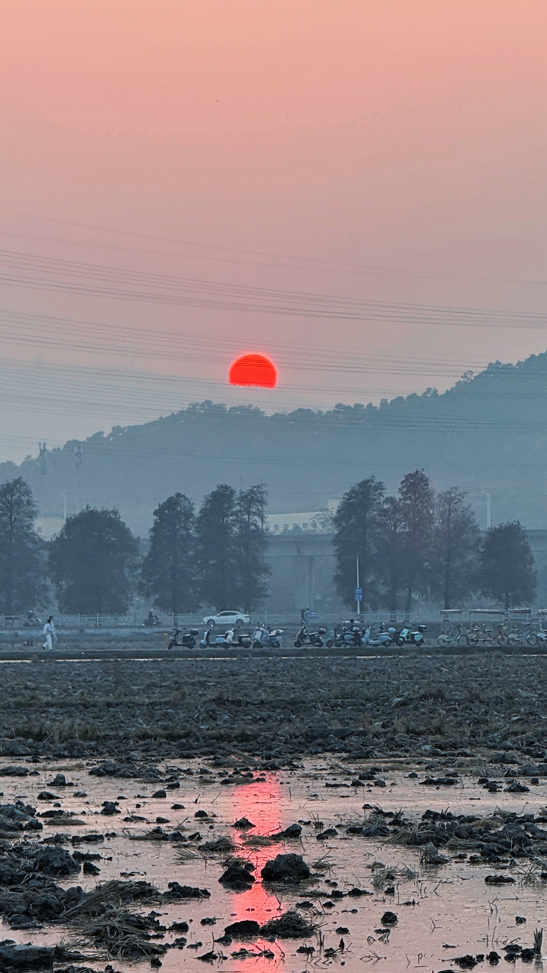 喜欢哥就直说 显得你很有品味
