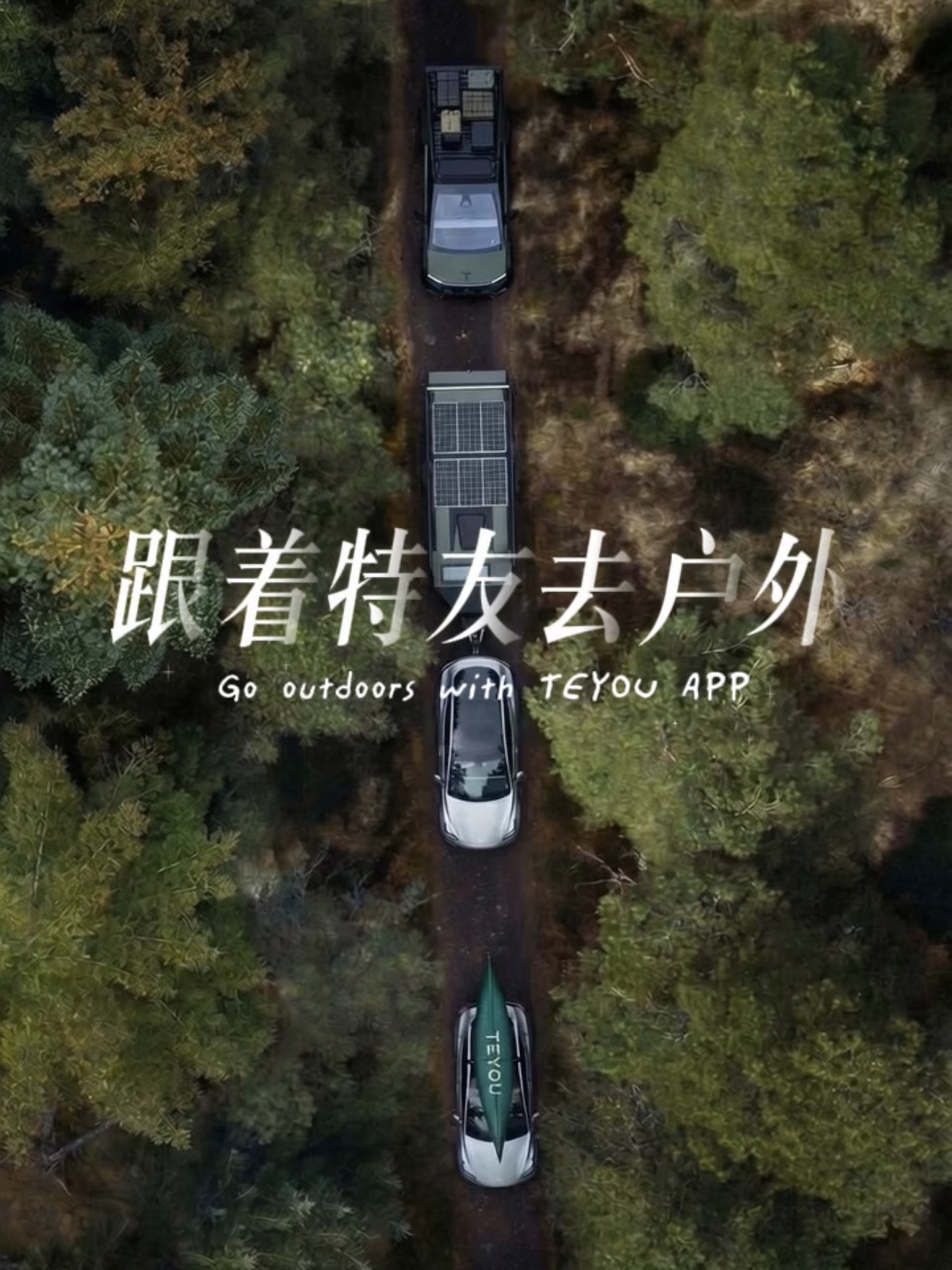 找特斯拉搭子，上特友App