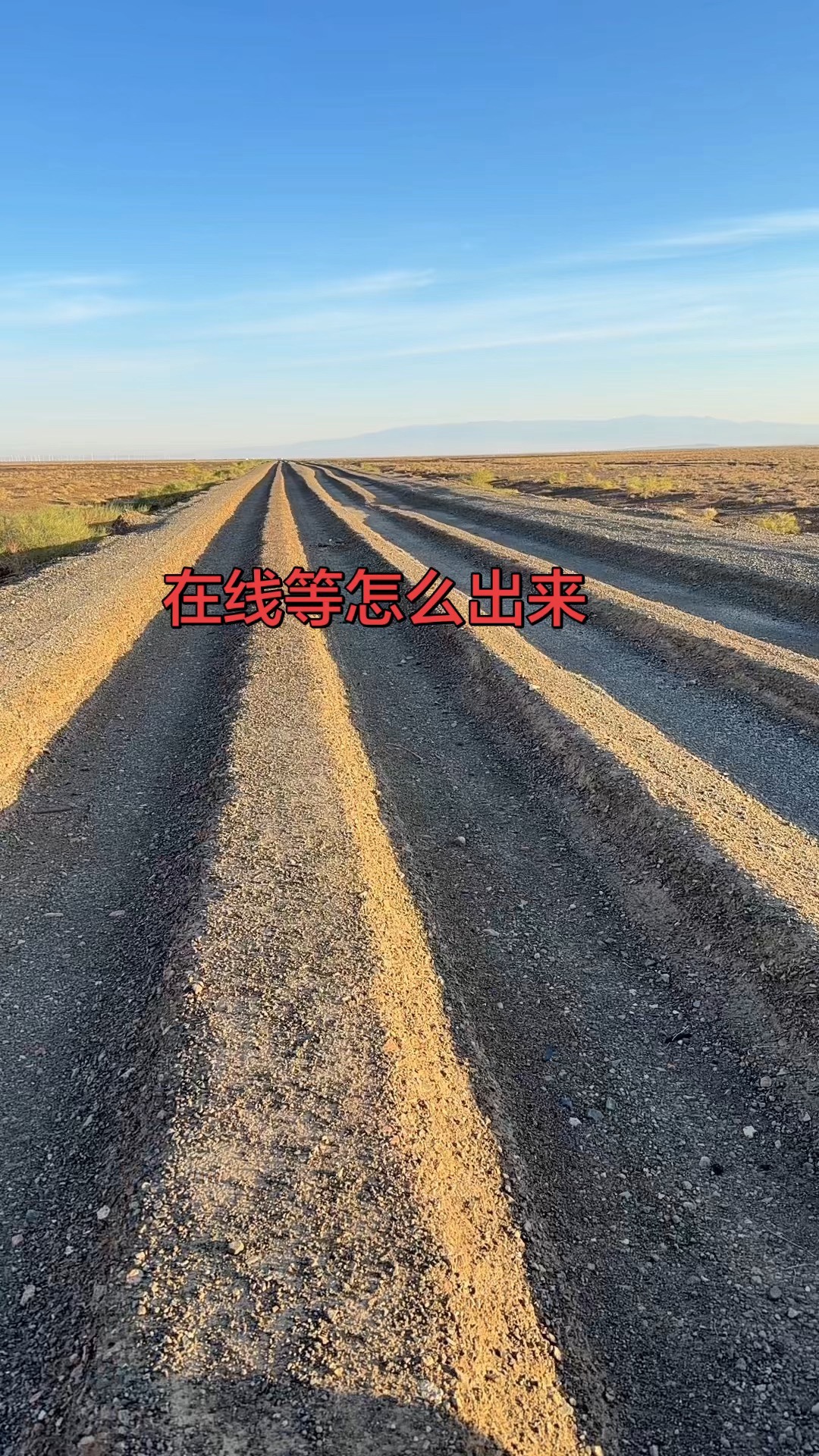 特友23593279的特斯拉动态