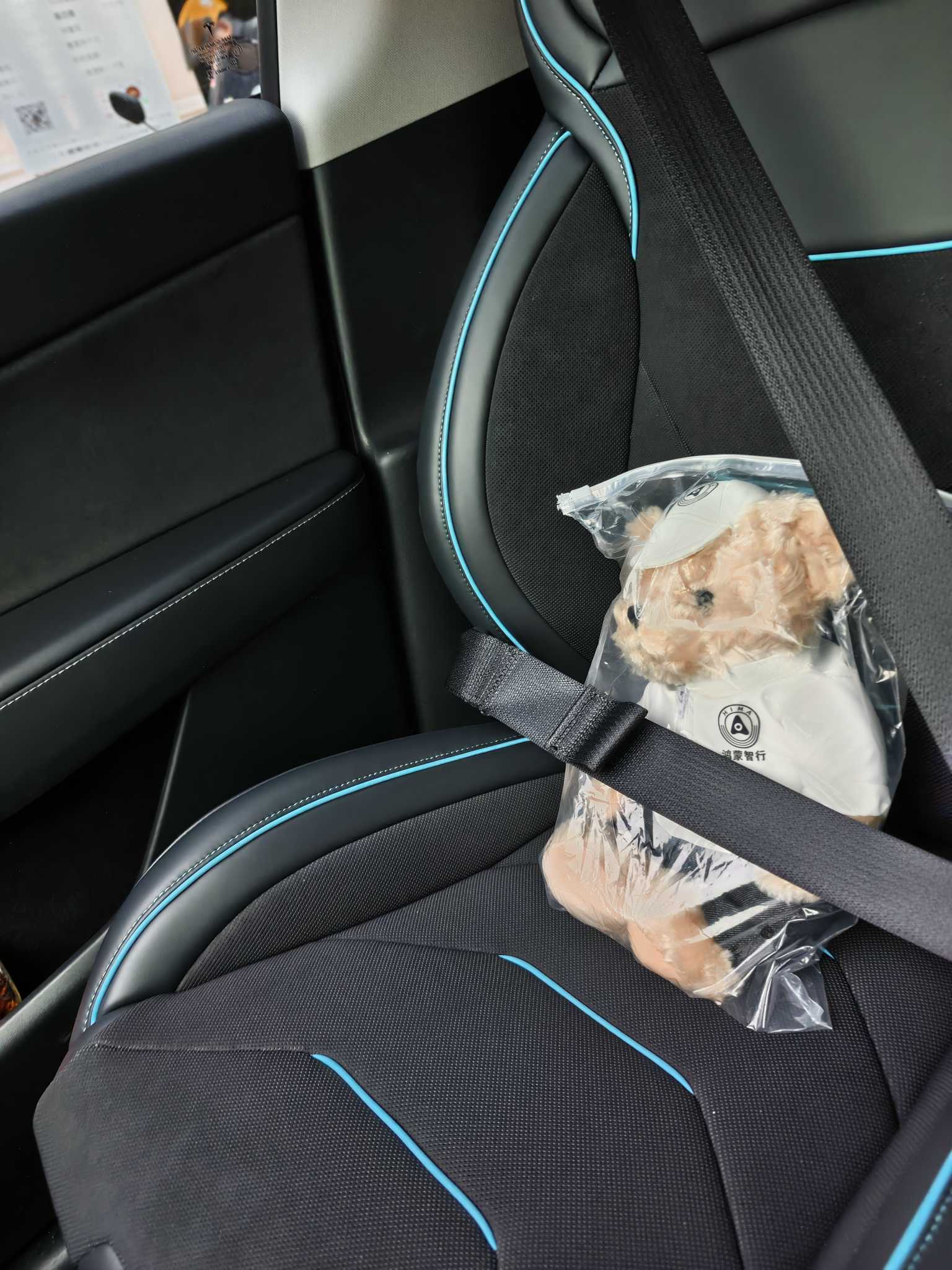 #特斯拉宠物模式