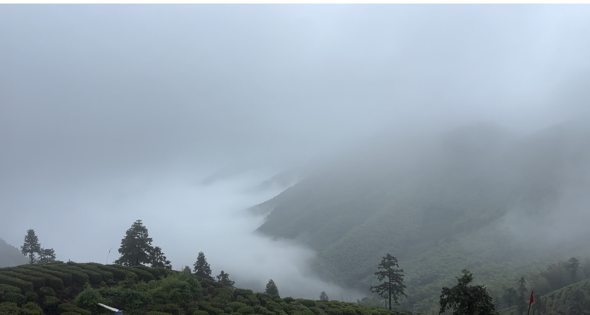 特斯拉后备箱的风景
车外山峦在雨雾中若隐若现，山顶之上，打开特斯拉的后备箱，放上相行，喝茶看风景，希望时光慢行，致渐行渐远的节日，大家都快乐！
#特斯拉车主日记 ##打工人也要精致