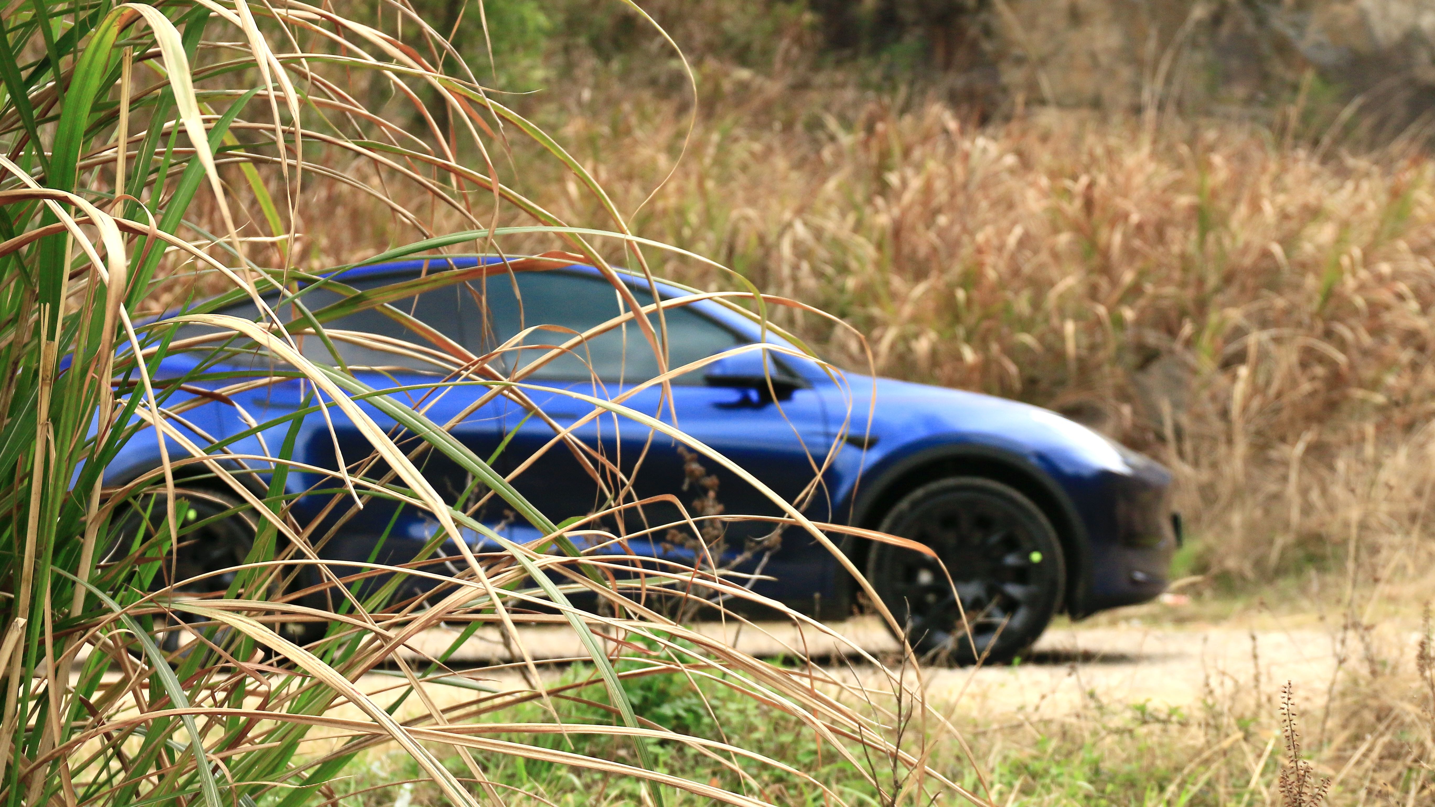 组建了一个杭州特斯拉纯净车主群
拒绝特斯拉周边广告，是一个各行各业的纯车主群，大家彼此交流，组织出行。旅游露营，摄影拍照，运动网球。欣赏日出日落。
欢迎杭州的特斯拉朋友进入：浙A
希望遇到的你层次高一点点，素质高一点点，品味高一点点，审美高一点点。