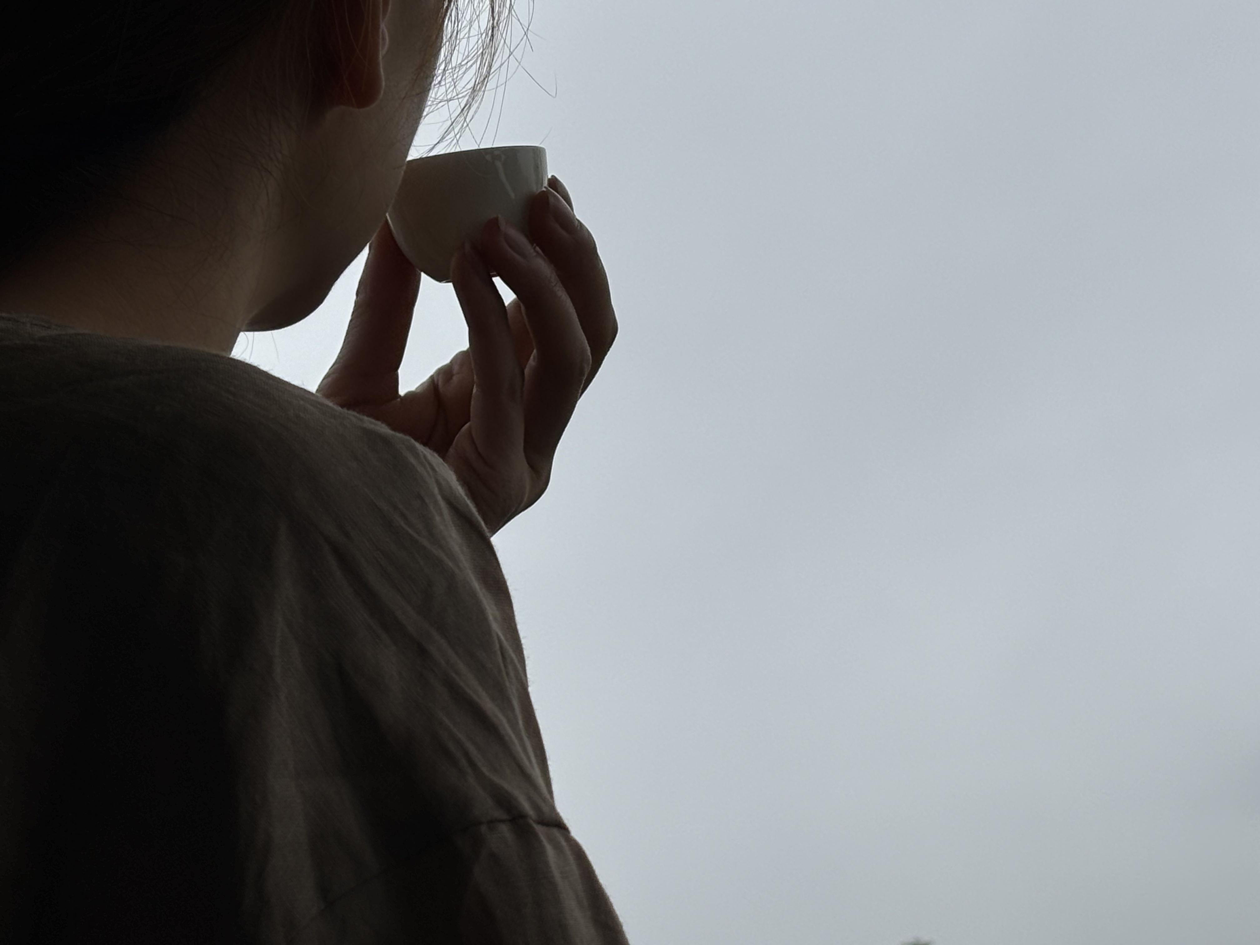 特斯拉后备箱的风景
车外山峦在雨雾中若隐若现，山顶之上，打开特斯拉的后备箱，放上相行，喝茶看风景，希望时光慢行，致渐行渐远的节日，大家都快乐！
#特斯拉车主日记 ##打工人也要精致