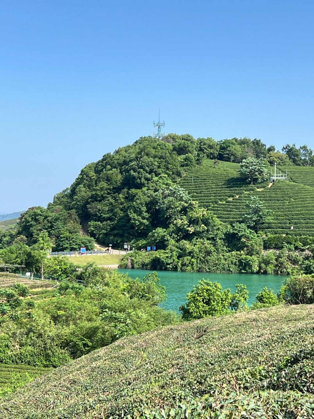 周日带上小特去徒步#户外
