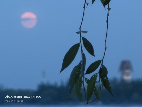 淀山湖附近夜景