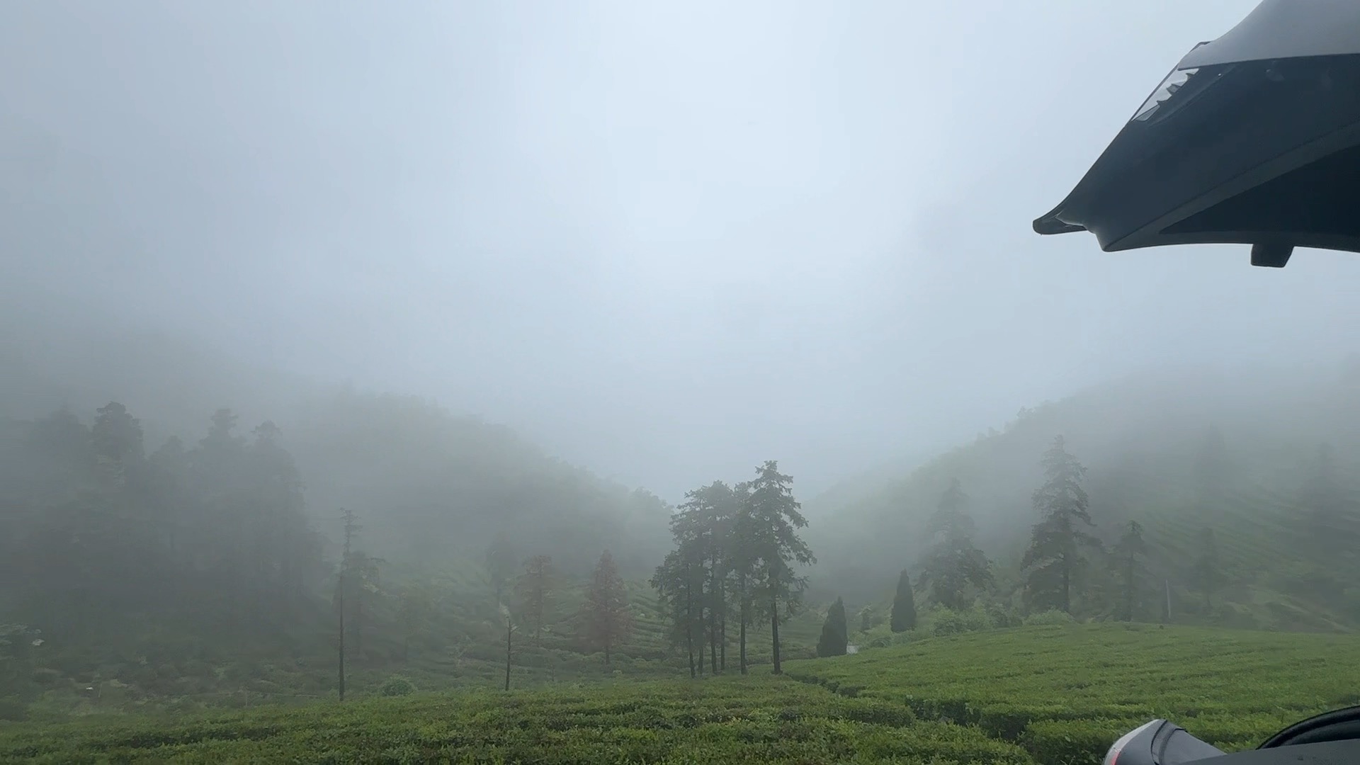 特斯拉后备箱的风景
车外山峦在雨雾中若隐若现，山顶之上，打开特斯拉的后备箱，放上相行，喝茶看风景，希望时光慢行，致渐行渐远的节日，大家都快乐！
#特斯拉车主日记 ##打工人也要精致
