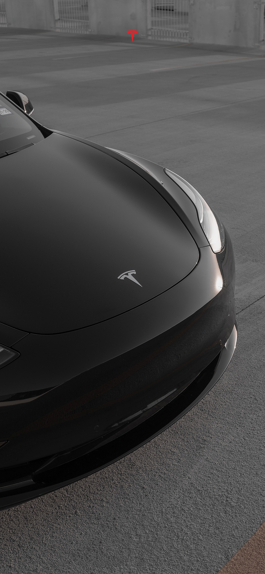 特斯拉手机壁纸请拿走#玩车 #小红书高清4k视频 #特斯拉Model3Highland 