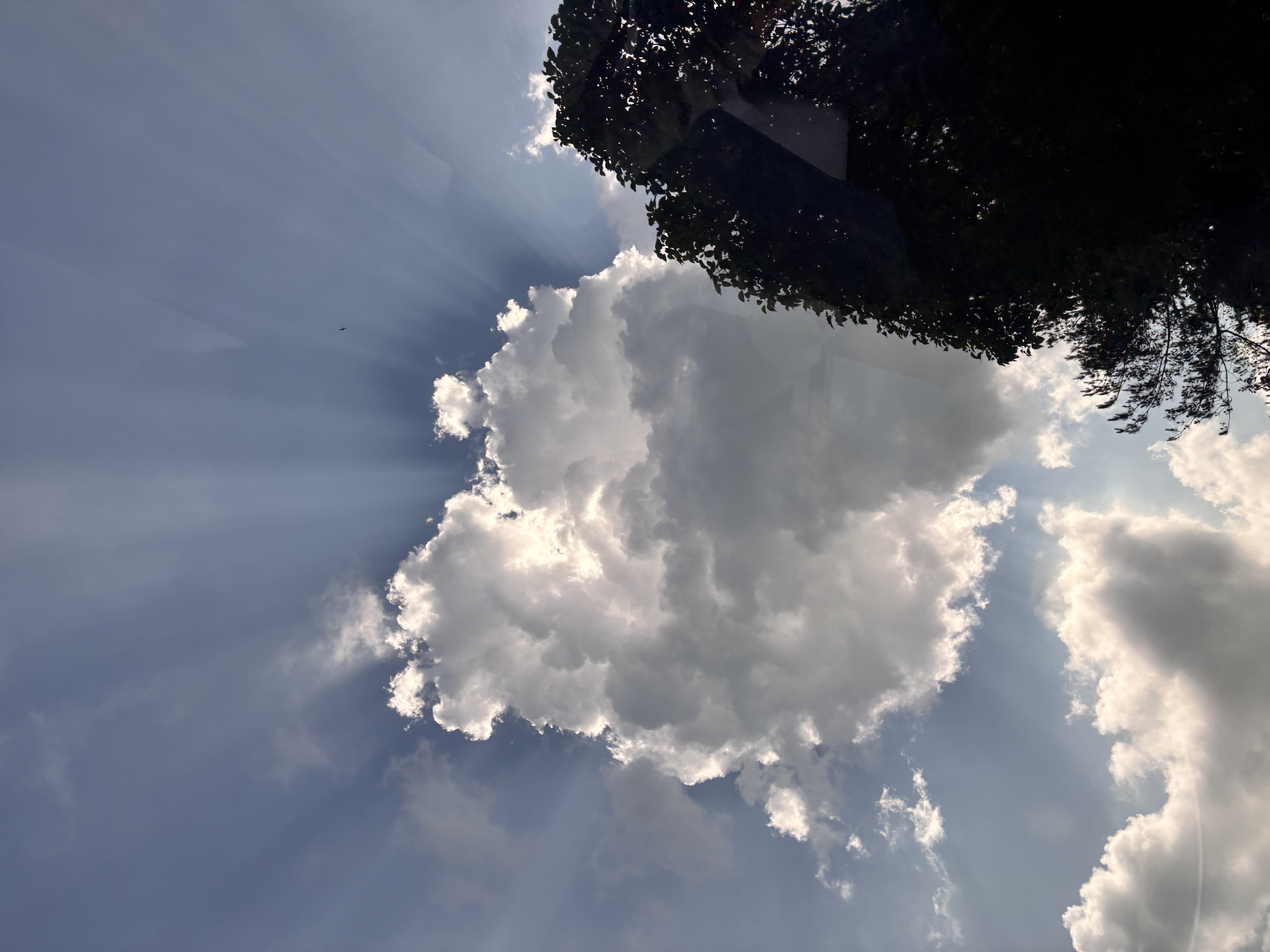 透过这张大天幕，能在夏季即将到来前，更好的欣赏天空的美景。☀️