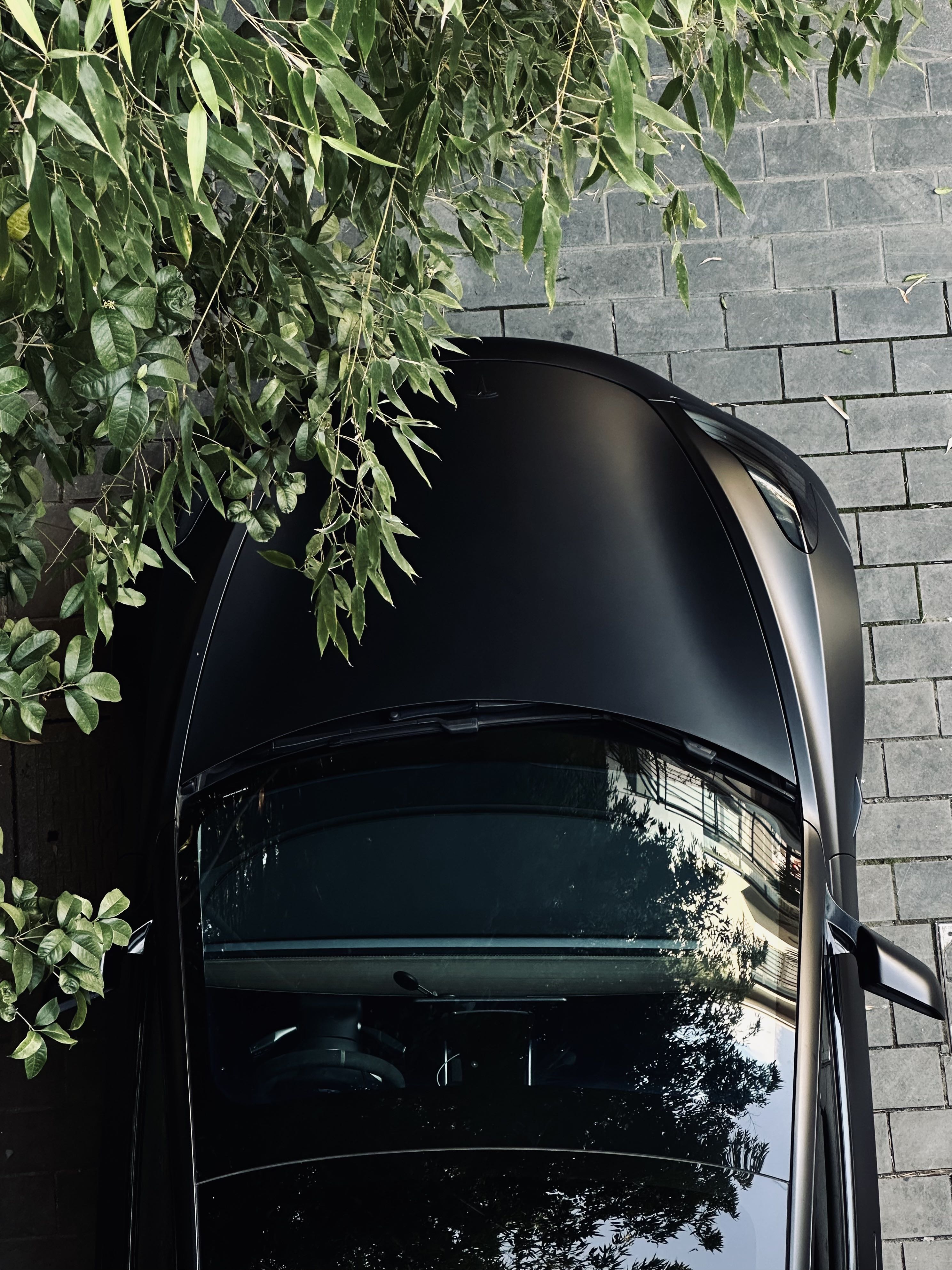 从楼上看下去发现意外的好看#teslamodel3 