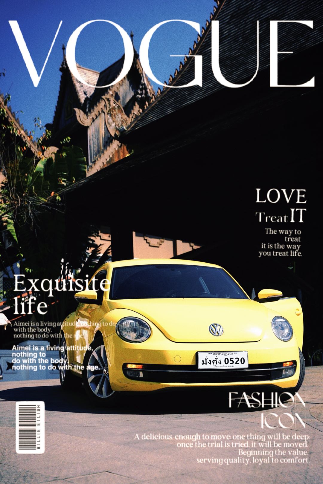 永远优雅的经典小虫子🚗#梦中情车 