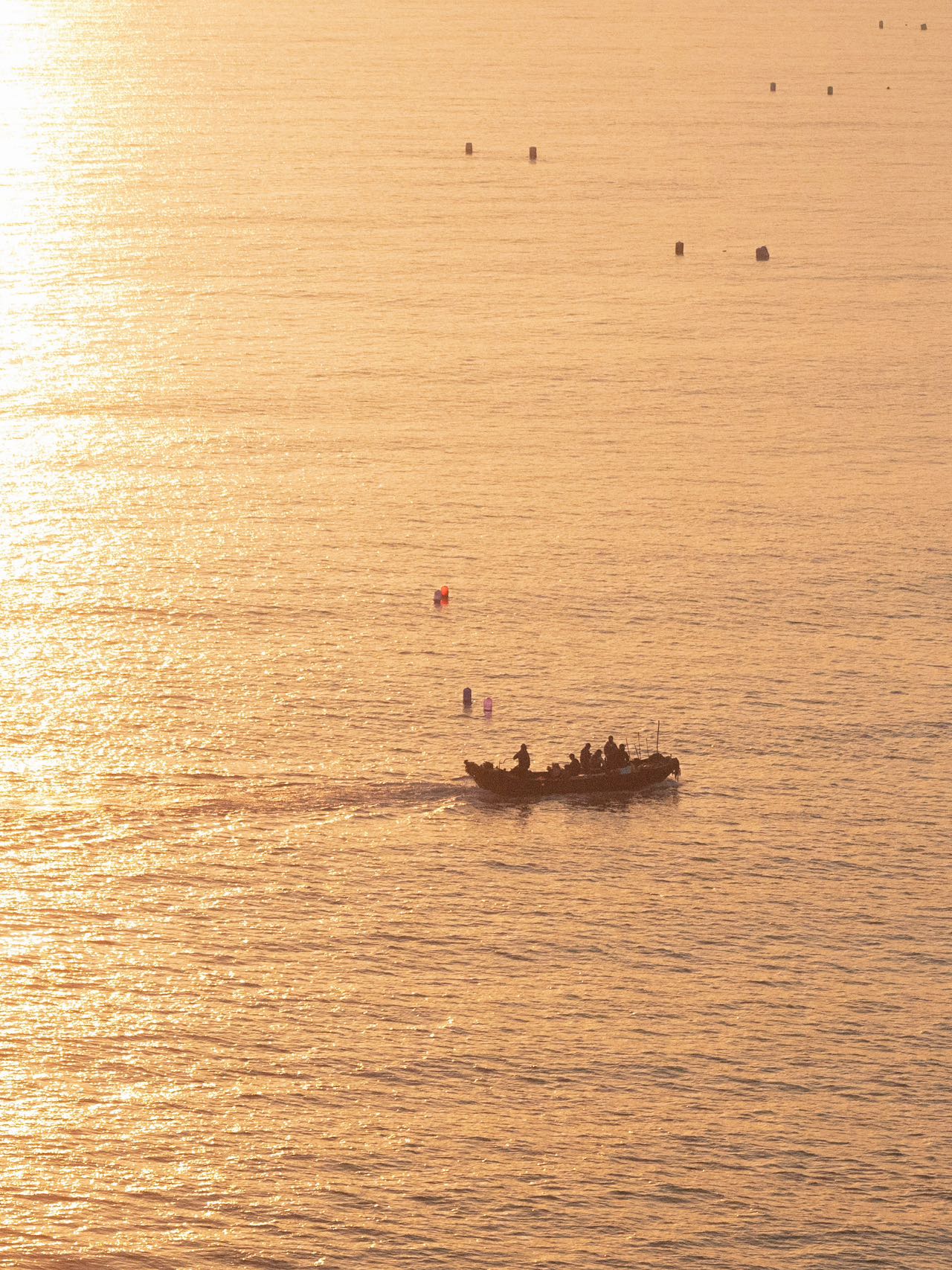海边露营 我先冲啦⛺️
清晨的蓝调时刻简直不要太美
带着我的相行 煮一壶茶 
海风微凉 听着海浪声🌊
闻着茶香 等待日出 便是我的治愈时刻🌅
这一刻没有社交的压力 没有工作的困扰
整个人都能跟着松弛下来
绝对是i人不可错过的解压方式
#特斯拉车主的100生活方式 #日常通勤