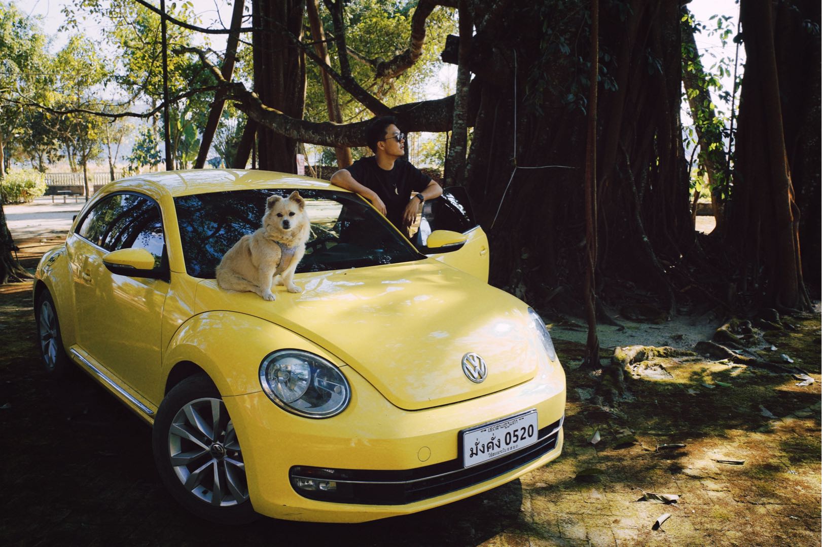 永远优雅的经典小虫子🚗#梦中情车