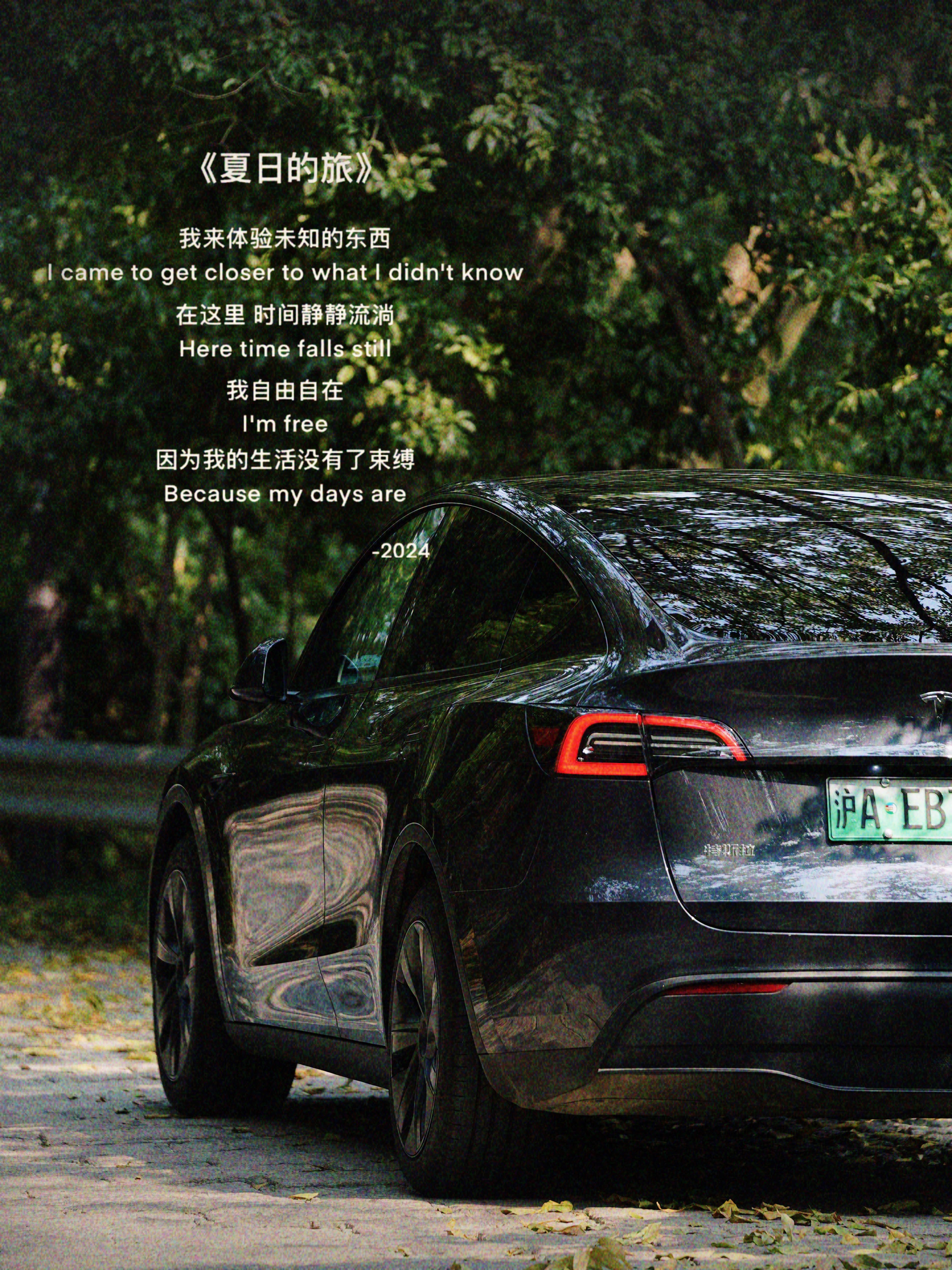 📷摄于2024年夏
📍杭州