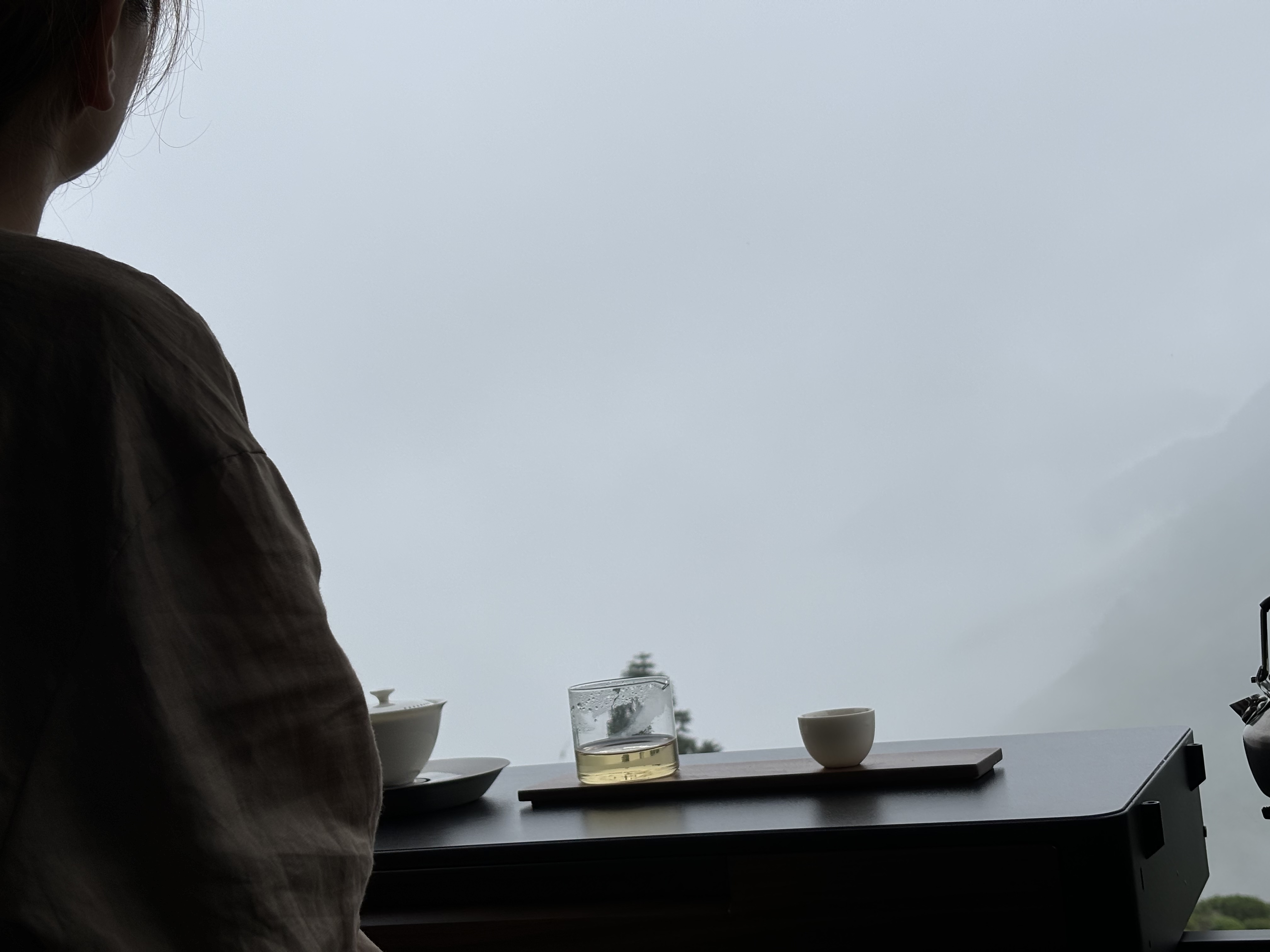 特斯拉后备箱的风景
车外山峦在雨雾中若隐若现，山顶之上，打开特斯拉的后备箱，放上相行，喝茶看风景，希望时光慢行，致渐行渐远的节日，大家都快乐！
#特斯拉车主日记 ##打工人也要精致