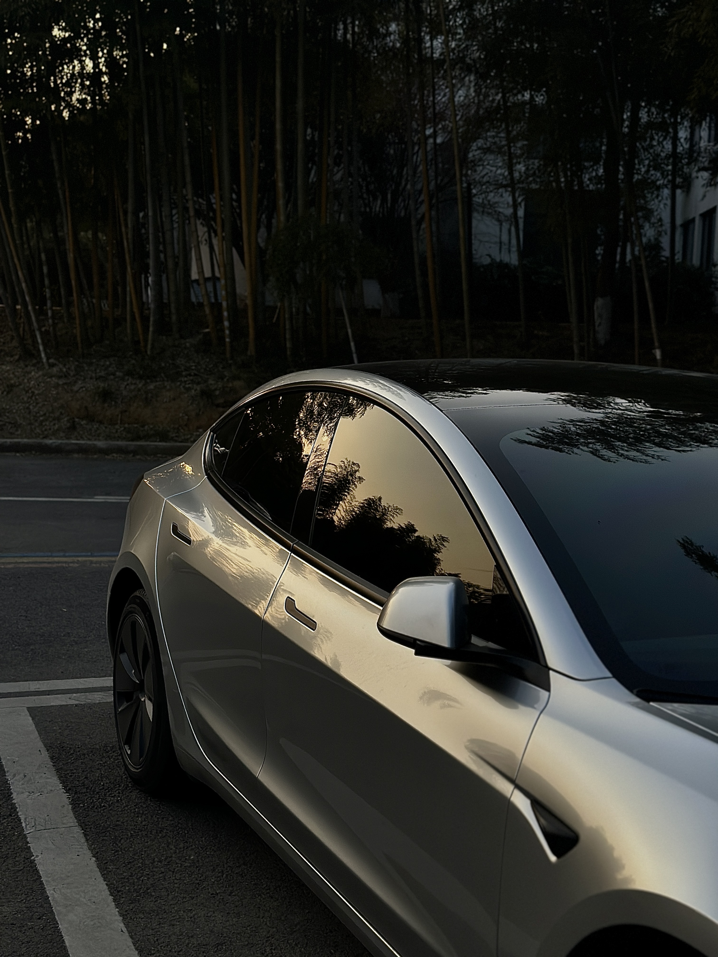 打破刻板印象，女孩子的车🚗也可以很酷‼️ 在大家的刻板印象里
女孩子的车应该是粉粉的
有很多可可爱爱的小内饰
就像我的车，很多人都和我说过像男孩子的车
可能我有一颗酷炫的心吧！
	
今天试驾了妹妹的焕新model3
换挡着实有些不适应
但氛围灯和座椅通风爱了爱了呀
还被种草了倍思特冰帘
比我之前入的更遮光、更降温
采用真双层隔热系统降温
UPF2000+级的防晒力，50倍远超国标，能够有效阻隔红紫外线
简直是夏日女司机必备！
嵌入式卡扣安装特别方便
而且与1:1原车精准贴合
不得不说妹妹有点会选！！
而且妹妹的车更酷炫！
狠狠撩拨我那颗想贴膜的心啊[憨笑]
	
所以女生们，永远不要被定义
喜欢什么就去做
不用在意别人的言语、眼光
做那个闪闪发光的你
做自己的大女主！
#倍思特冰帘 #倍思特斯拉遮阳帘 #特斯拉周边#特斯拉#特斯拉内饰 #特斯拉遮阳帘#特斯拉model3#车内拍照#特斯拉车膜 @viki两千