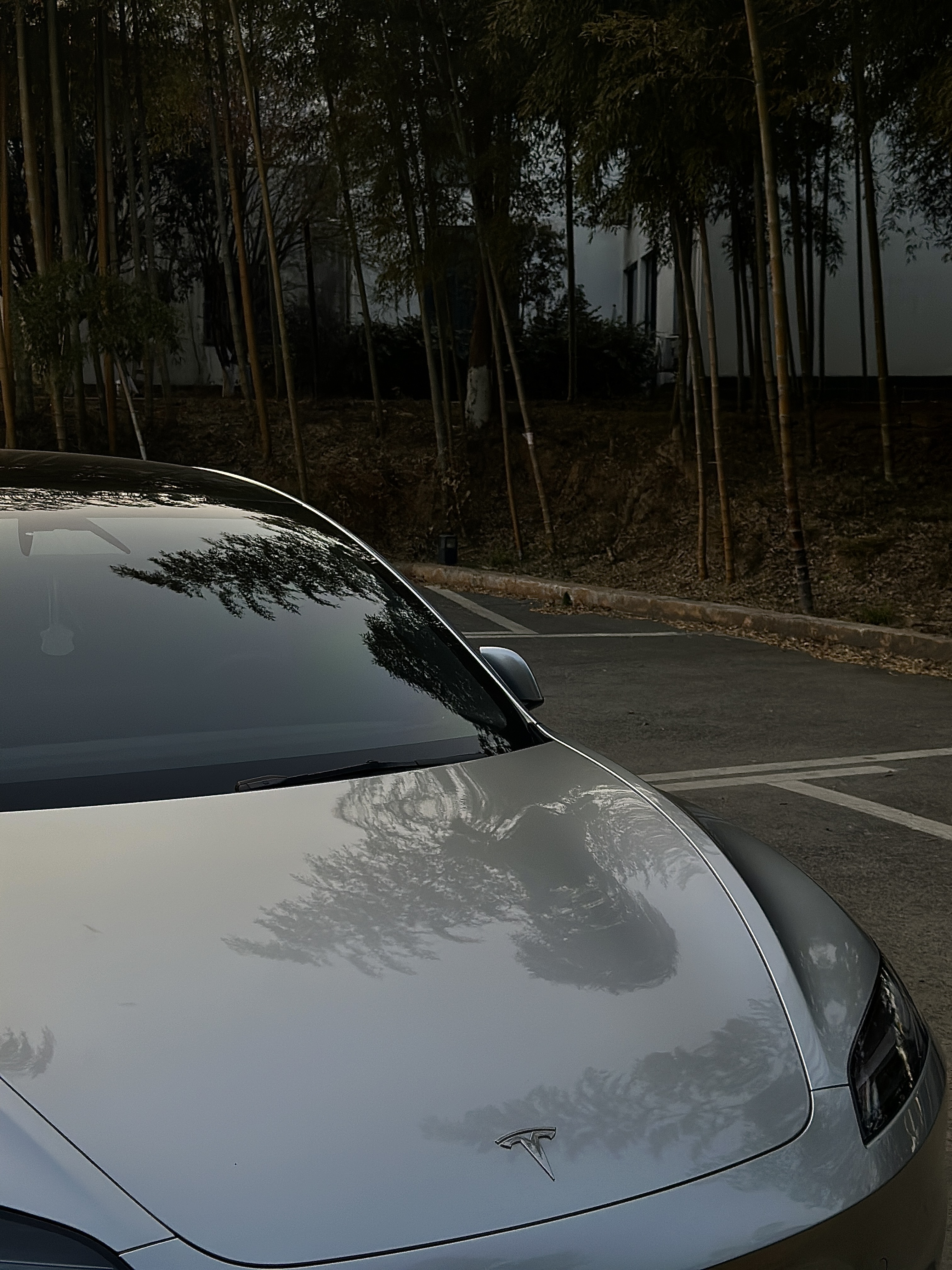 打破刻板印象，女孩子的车🚗也可以很酷‼️ 在大家的刻板印象里
女孩子的车应该是粉粉的
有很多可可爱爱的小内饰
就像我的车，很多人都和我说过像男孩子的车
可能我有一颗酷炫的心吧！
	
今天试驾了妹妹的焕新model3
换挡着实有些不适应
但氛围灯和座椅通风爱了爱了呀
还被种草了倍思特冰帘
比我之前入的更遮光、更降温
采用真双层隔热系统降温
UPF2000+级的防晒力，50倍远超国标，能够有效阻隔红紫外线
简直是夏日女司机必备！
嵌入式卡扣安装特别方便
而且与1:1原车精准贴合
不得不说妹妹有点会选！！
而且妹妹的车更酷炫！
狠狠撩拨我那颗想贴膜的心啊[憨笑]
	
所以女生们，永远不要被定义
喜欢什么就去做
不用在意别人的言语、眼光
做那个闪闪发光的你
做自己的大女主！
#倍思特冰帘 #倍思特斯拉遮阳帘 #特斯拉周边#特斯拉#特斯拉内饰 #特斯拉遮阳帘#特斯拉model3#车内拍照#特斯拉车膜 @viki两千