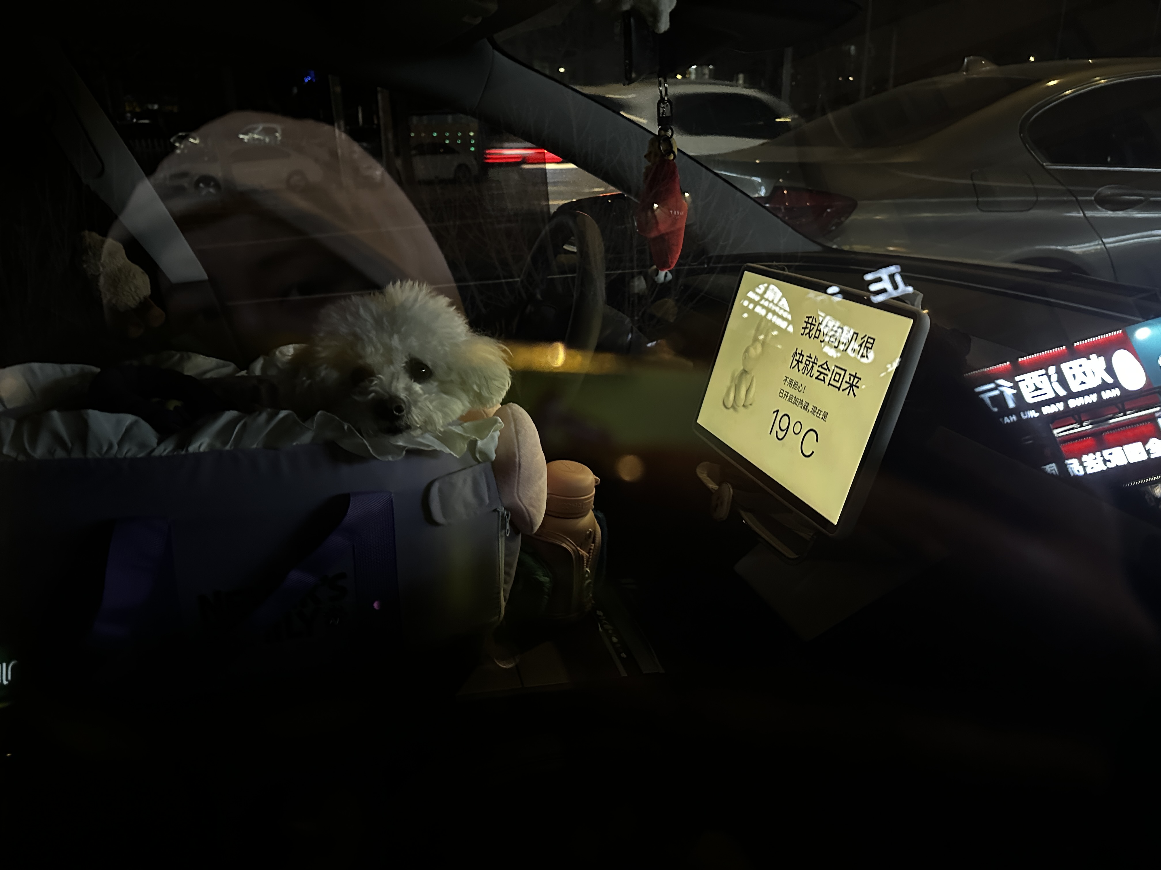 99年女生提特斯拉三个月的真实感受☃️ 99年央企打工+养宠人一枚，和我的特啦美啦相处三个月啦，开了4700+公里后的真实感受🚘✨
	
1.通勤幸福感拉满！💰
工作地点在郊区，每天要往返50公里，以前加油一个月800+，现在充电一次才几十块，简直不要太香！单程电费比坐地铁都便宜！省下的钱给狗狗买零食咯～
	
2.驾驶体验绝了！🚀
一脚电门下去，推背感直接拉满！红绿灯起步秒杀隔壁油车，感觉自己就是街上最靓的仔！而且自动驾驶太适合我这种每天要跑高速的人了，堵车也不怕，轻松又安全～
	
3. 科技感爆棚！⚡️
手机APP远程控制空调、查看电量、定位车辆，冬天再也不怕一进车门钻冰窖子了！感谢方向盘加热，也再也不用带手套车啦！充电的时候还可以看剧刷抖音玩游戏，一点也不无聊！
	
4. 环保又时尚！🌍
开电车真的有种为地球做贡献的感觉，而且特斯拉的颜值超高，贴了奶芙芙的胡椒白膜！老忍不住多看几眼~
	
5. 出行太方便啦🏝
以前觉得远的地方懒得去，现在充电方便且便宜，周末说走就走，带着我的狗狗周边游安排起来！滑雪爱好者开去崇礼比油车省钱多啦！
	
6.带狗出行超方便！🐶
再也不用怕打车被拒载，每个周末都带她出去撒欢，再加上宠物模式，再也不用担心狗狗自己在车里着凉或者闷热，在车里睡得好舒服~
	
#特斯拉  #电车生活 #女生开车 #科技改变生活 #省钱小能手 #用车感受 #换车的尽头是电车 #特别心动的车 #焕新版model3 #是宠物更是家人 @lycheexx