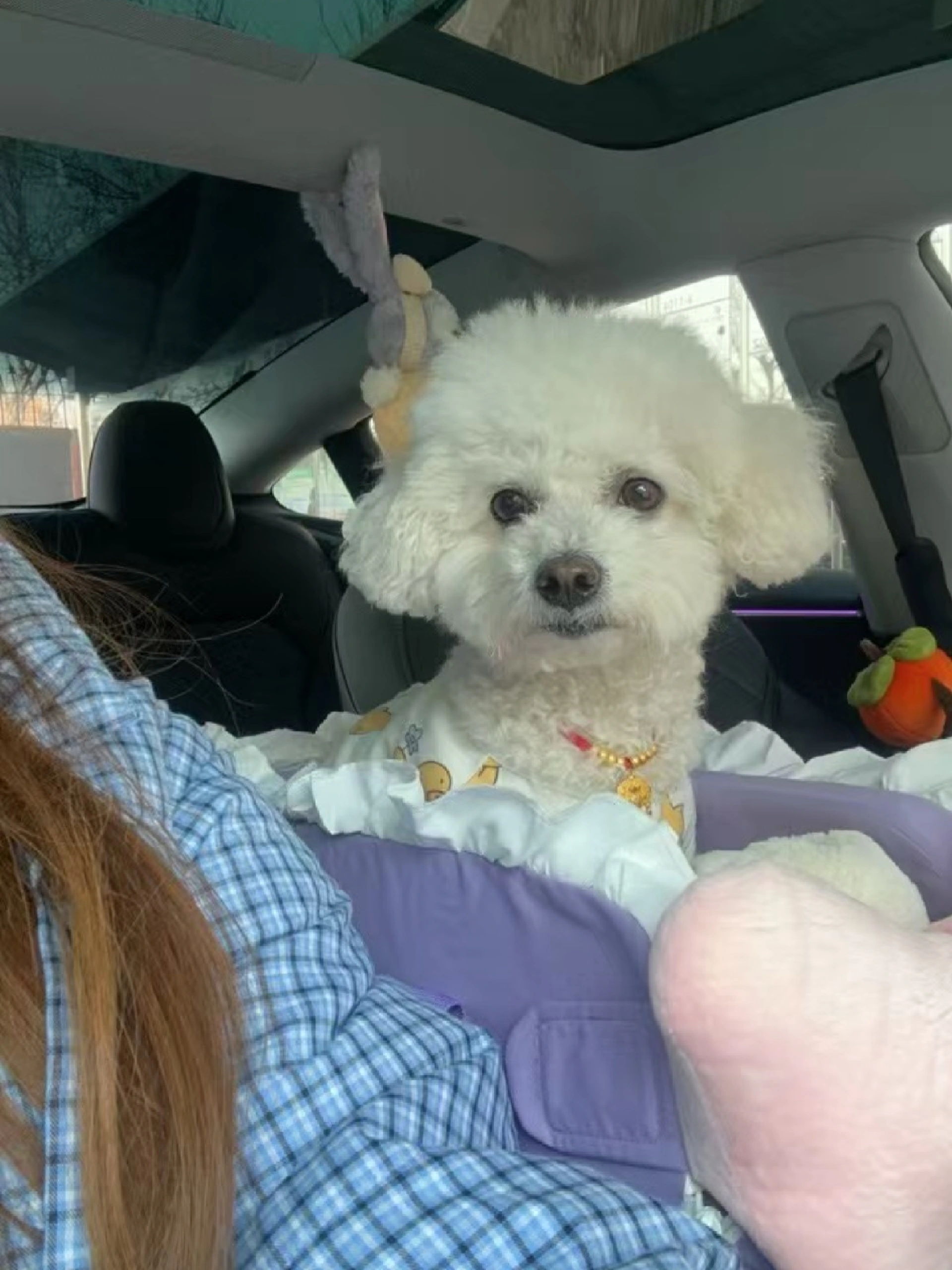 99年女生提特斯拉三个月的真实感受☃️ 99年央企打工+养宠人一枚，和我的特啦美啦相处三个月啦，开了4700+公里后的真实感受🚘✨
	
1.通勤幸福感拉满！💰
工作地点在郊区，每天要往返50公里，以前加油一个月800+，现在充电一次才几十块，简直不要太香！单程电费比坐地铁都便宜！省下的钱给狗狗买零食咯～
	
2.驾驶体验绝了！🚀
一脚电门下去，推背感直接拉满！红绿灯起步秒杀隔壁油车，感觉自己就是街上最靓的仔！而且自动驾驶太适合我这种每天要跑高速的人了，堵车也不怕，轻松又安全～
	
3. 科技感爆棚！⚡️
手机APP远程控制空调、查看电量、定位车辆，冬天再也不怕一进车门钻冰窖子了！感谢方向盘加热，也再也不用带手套车啦！充电的时候还可以看剧刷抖音玩游戏，一点也不无聊！
	
4. 环保又时尚！🌍
开电车真的有种为地球做贡献的感觉，而且特斯拉的颜值超高，贴了奶芙芙的胡椒白膜！老忍不住多看几眼~
	
5. 出行太方便啦🏝
以前觉得远的地方懒得去，现在充电方便且便宜，周末说走就走，带着我的狗狗周边游安排起来！滑雪爱好者开去崇礼比油车省钱多啦！
	
6.带狗出行超方便！🐶
再也不用怕打车被拒载，每个周末都带她出去撒欢，再加上宠物模式，再也不用担心狗狗自己在车里着凉或者闷热，在车里睡得好舒服~
	
#特斯拉  #电车生活 #女生开车 #科技改变生活 #省钱小能手 #用车感受 #换车的尽头是电车 #特别心动的车 #焕新版model3 #是宠物更是家人 @lycheexx