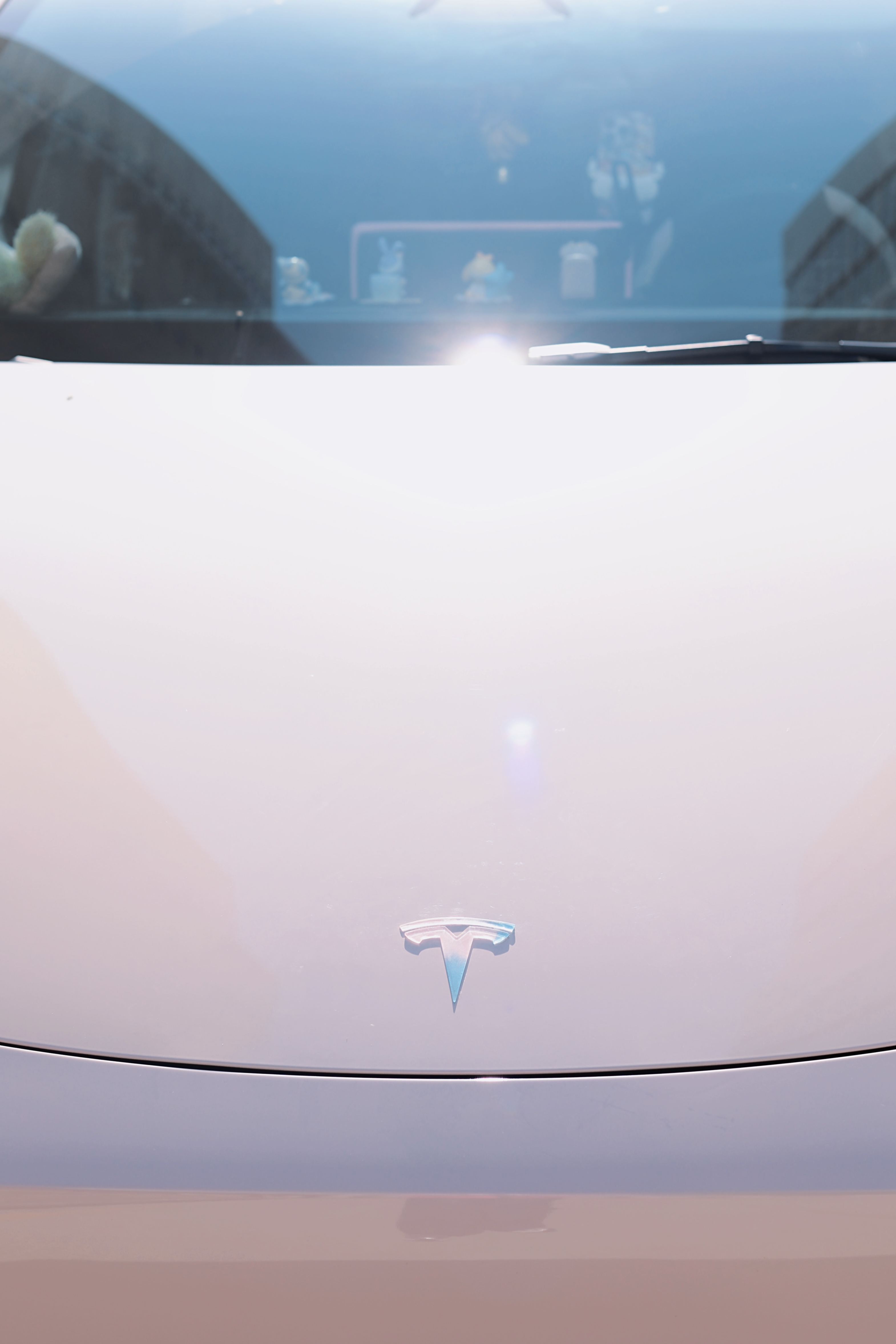 全西安也找不到第二辆。。 分享一下！我的特斯拉透明粉蓝渐变车标🩵🩷
真的太喜欢了
我的小y也是粉嫩公主一枚la～
#特斯拉车标改色 #让人心动的车 #我的车真好看 @我也是momo