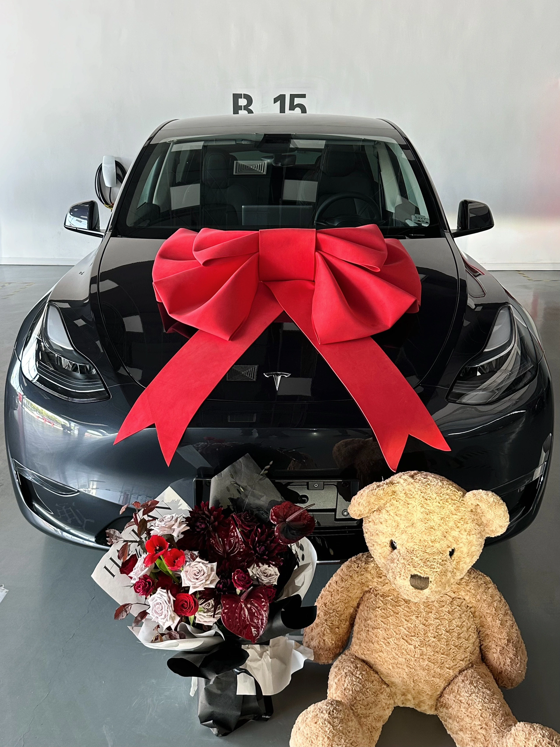 喜提大玩具🚗 成为毛豆歪车主的第一天
提车小姐姐人超nice一直帮我各种找角度拍好看的照片🥹
希望过两天能选到心仪的号码！
	
#提车日记 #特斯拉 #Ootd @VCjessica