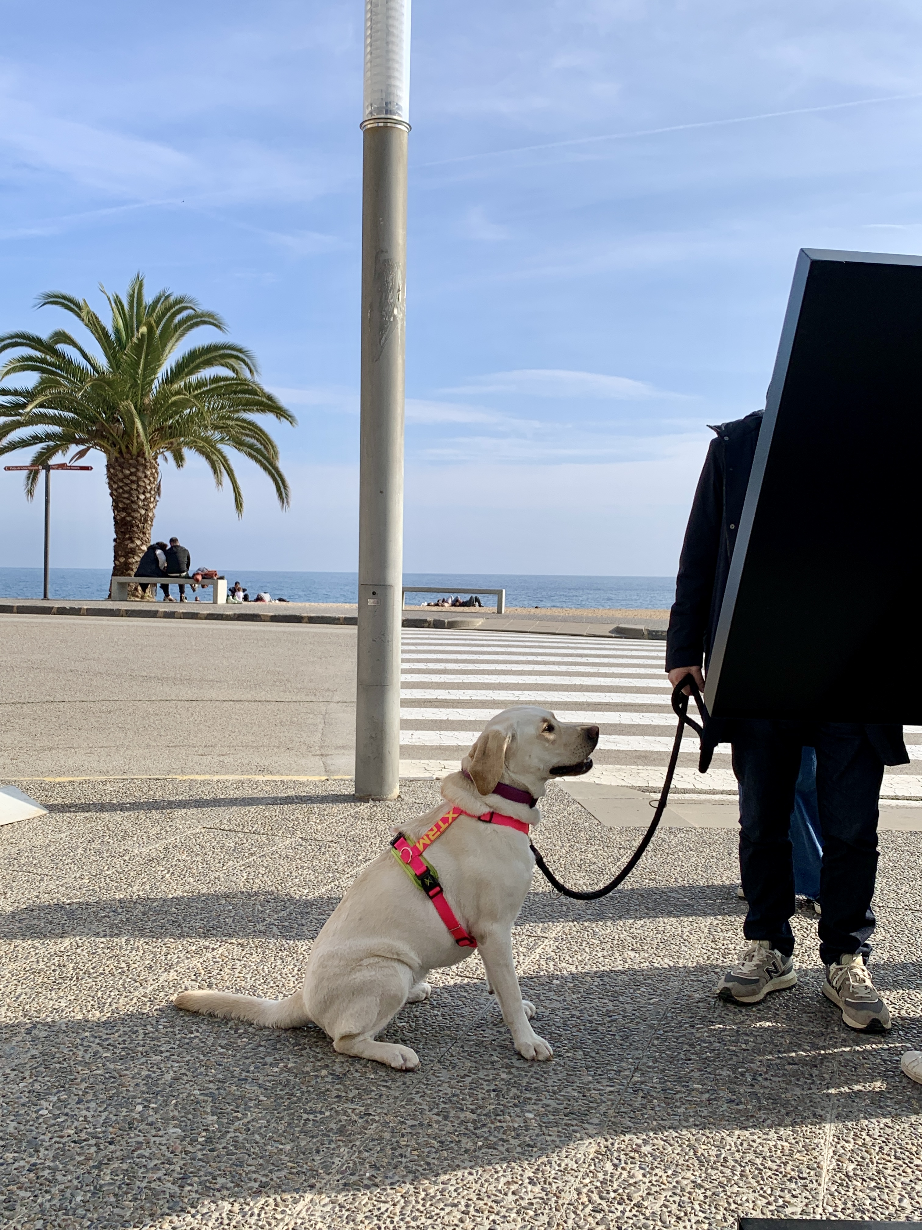 Barcelona-tossa🩵🐚🪥𓇼 #巴塞罗那 #tossa小镇 @松鱼